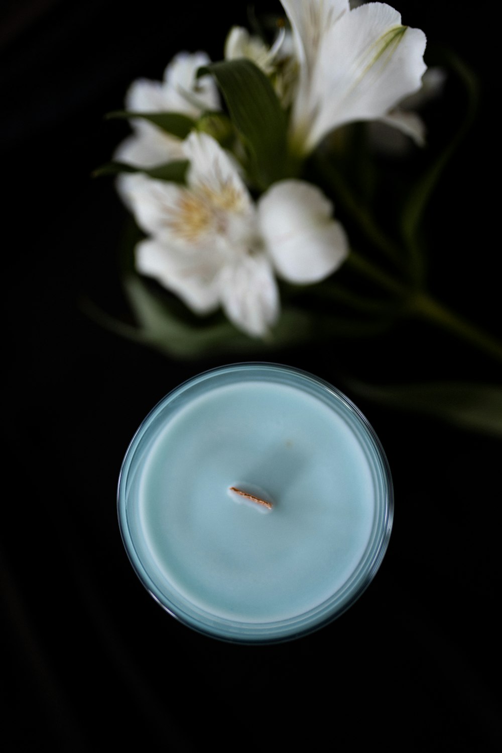 a blue candle sitting next to a white flower