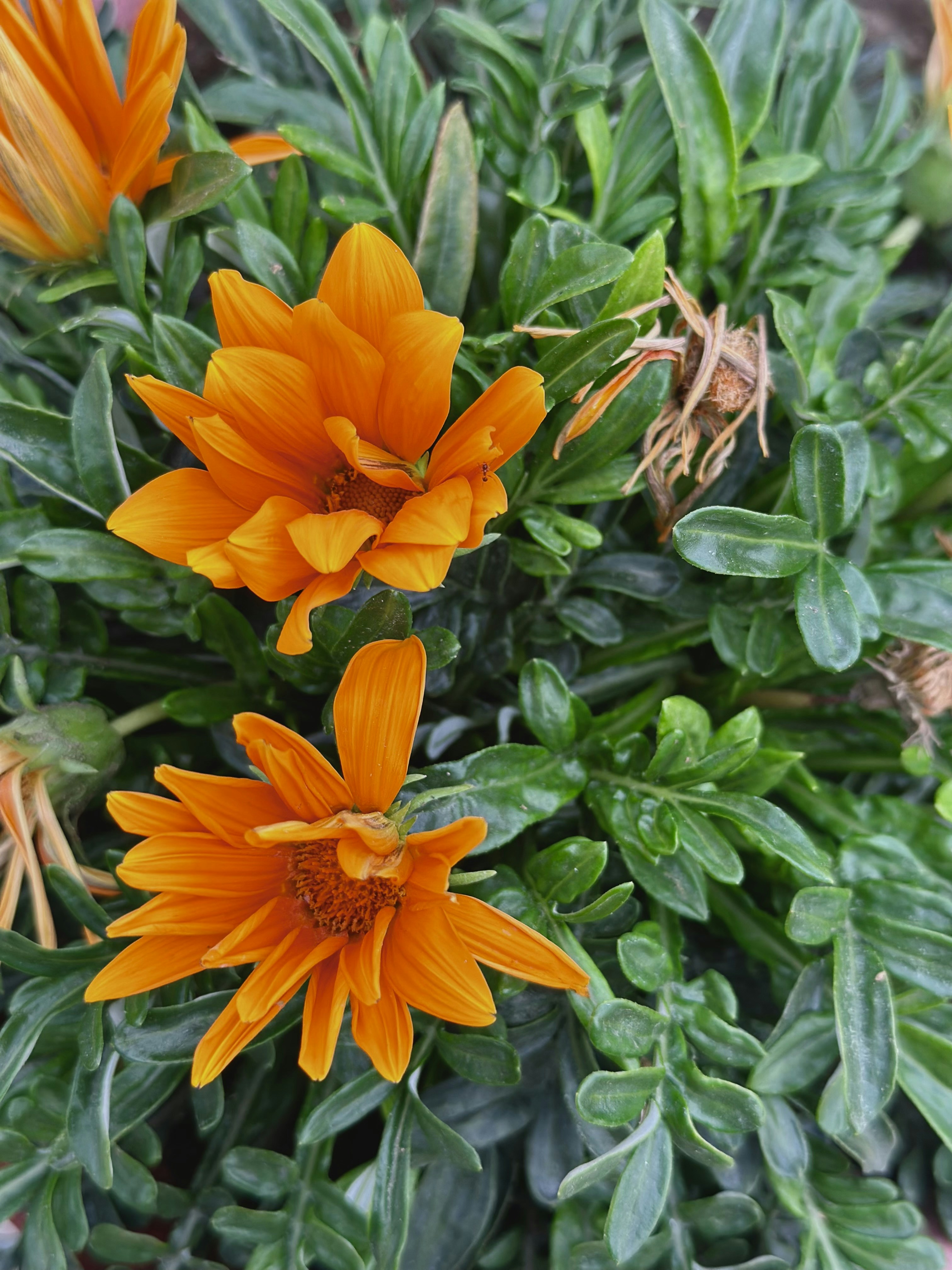 Photo by neelakshi_singh_