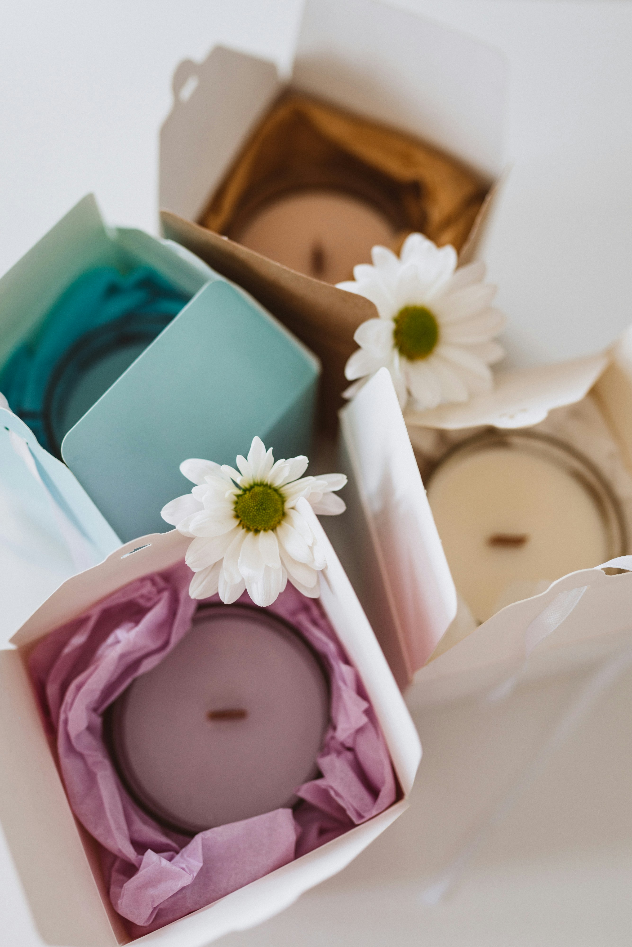 Photo by korobovaphoto