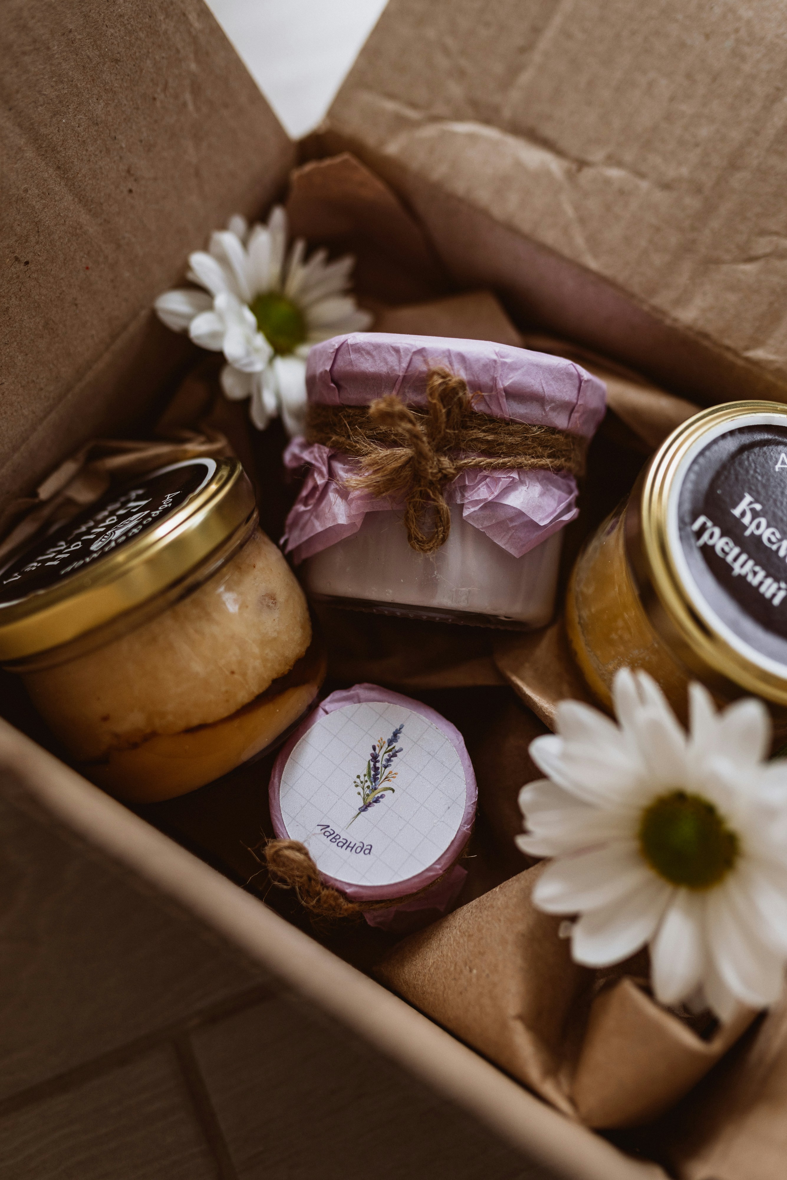 Photo by korobovaphoto