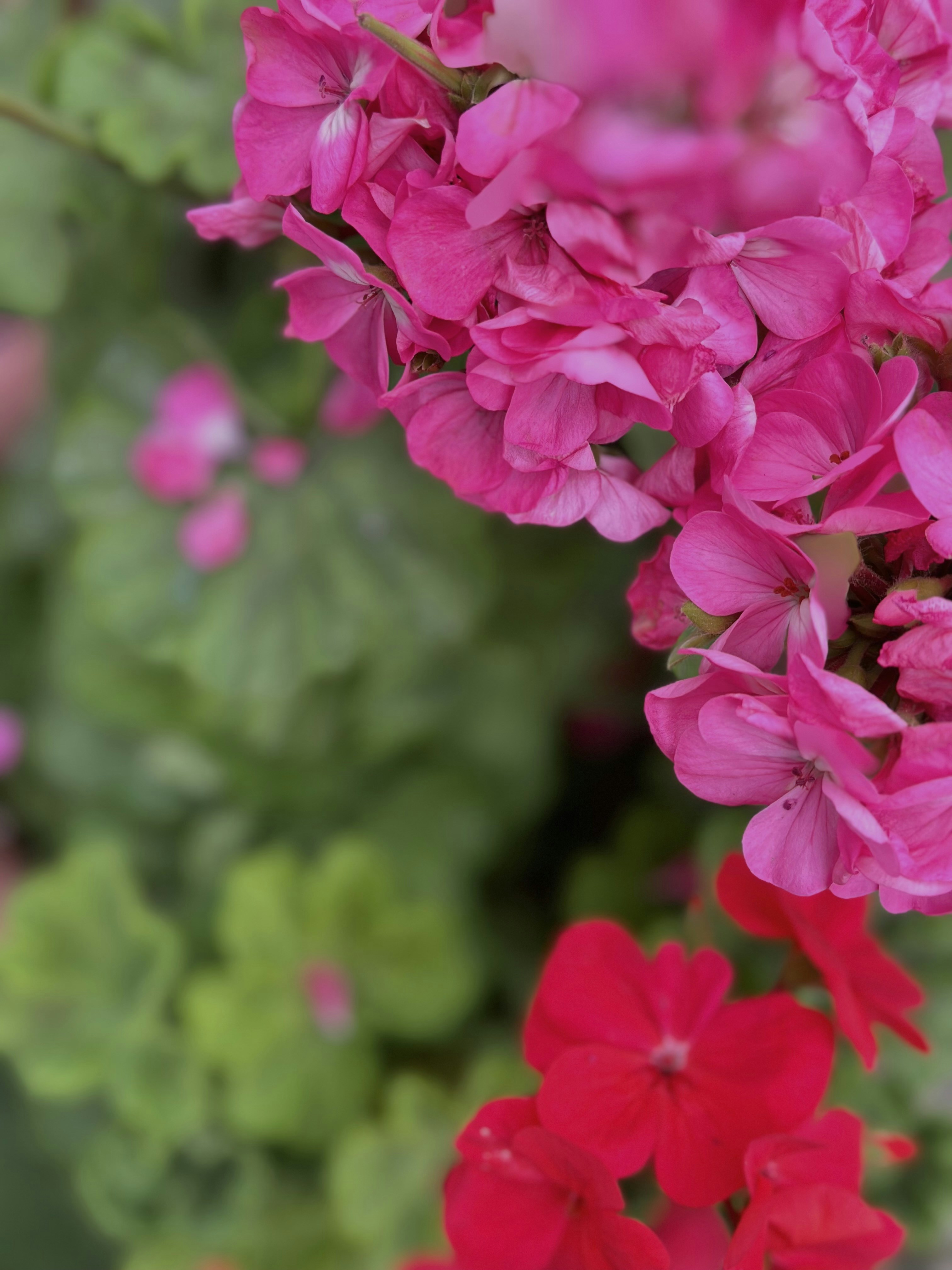 Photo by neelakshi_singh_