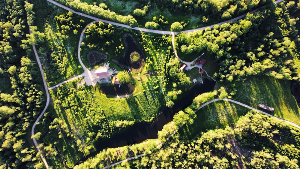 an aerial view of a road winding through a lush green forest