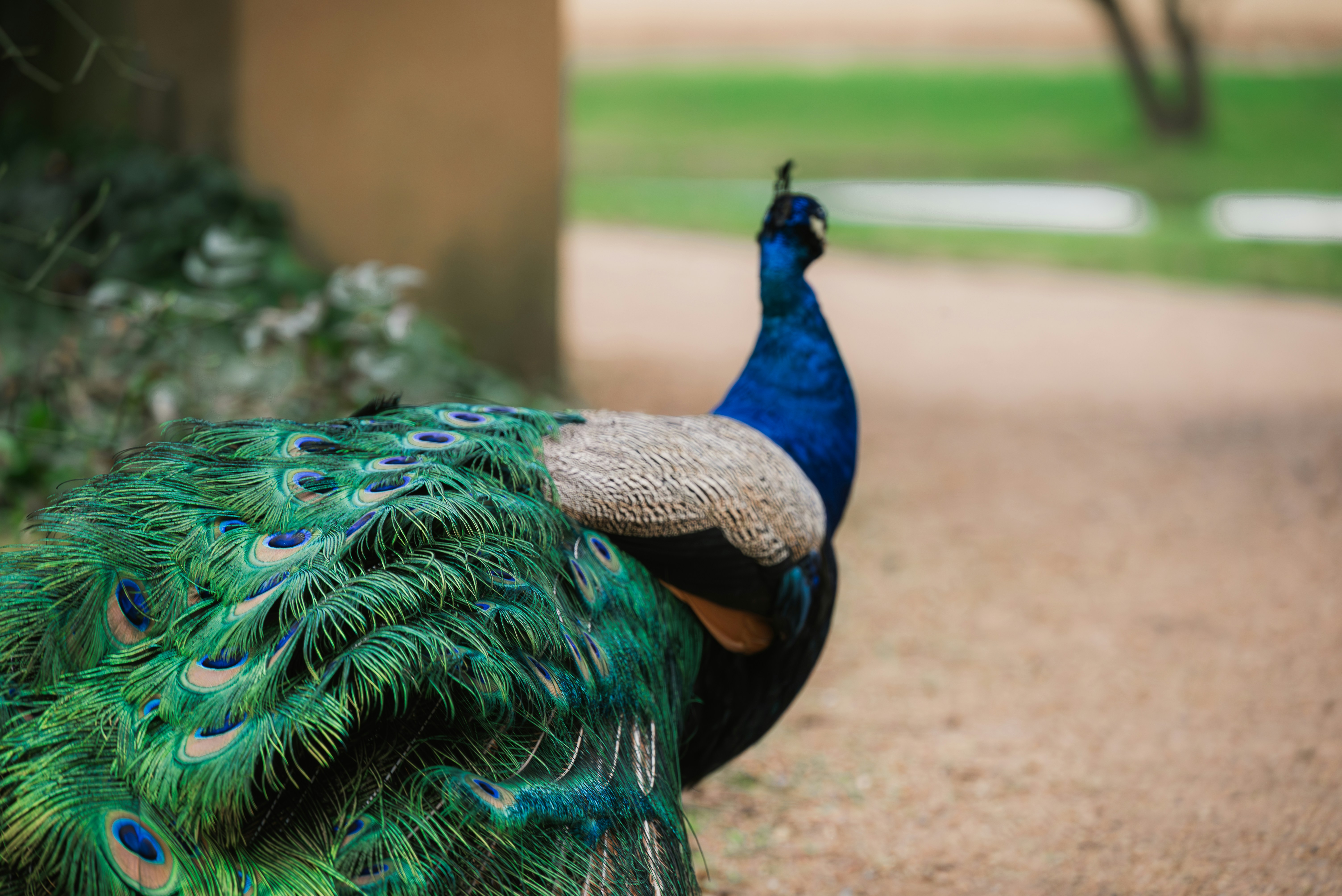 Photo by jetztabertempo