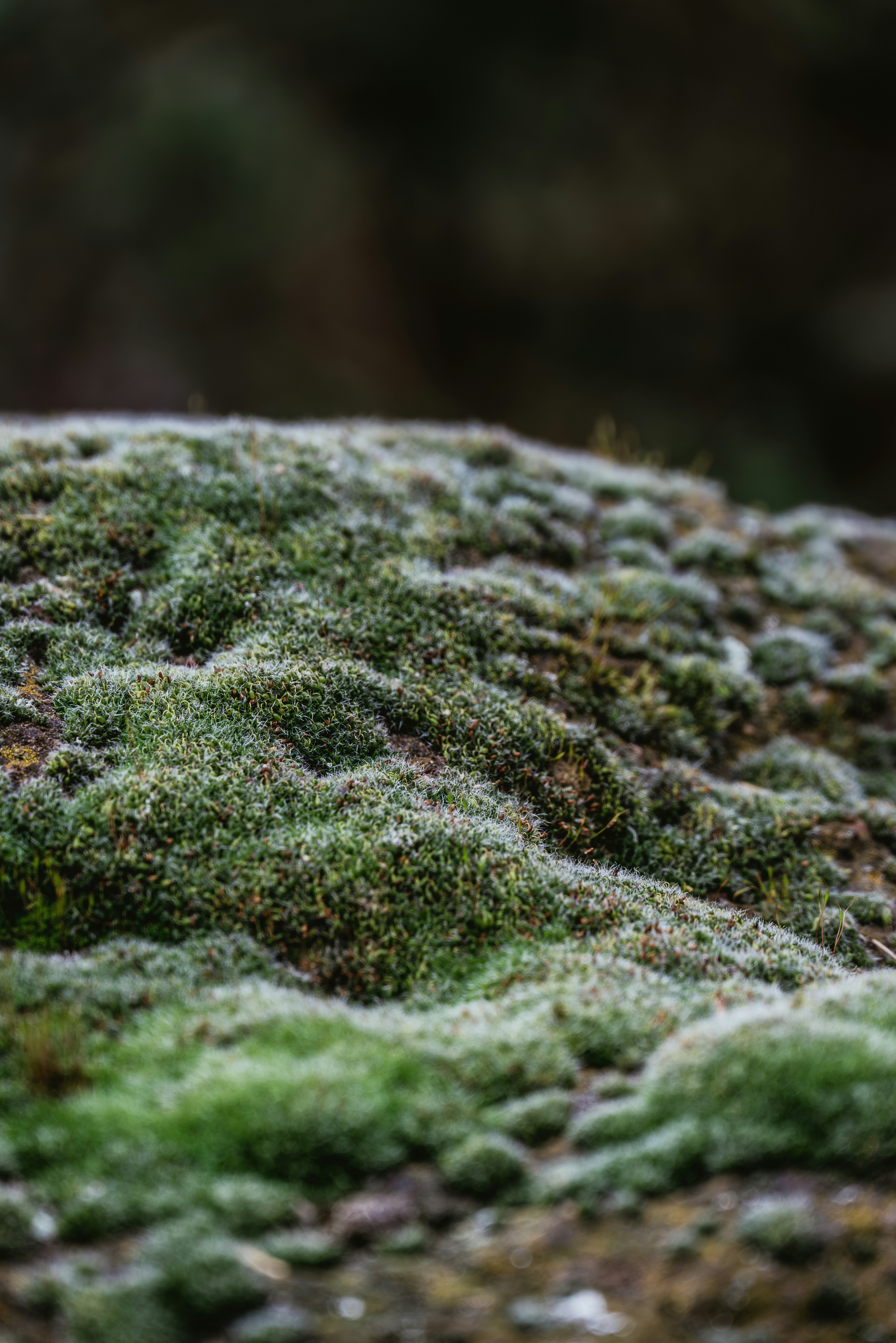 Photo by jetztabertempo