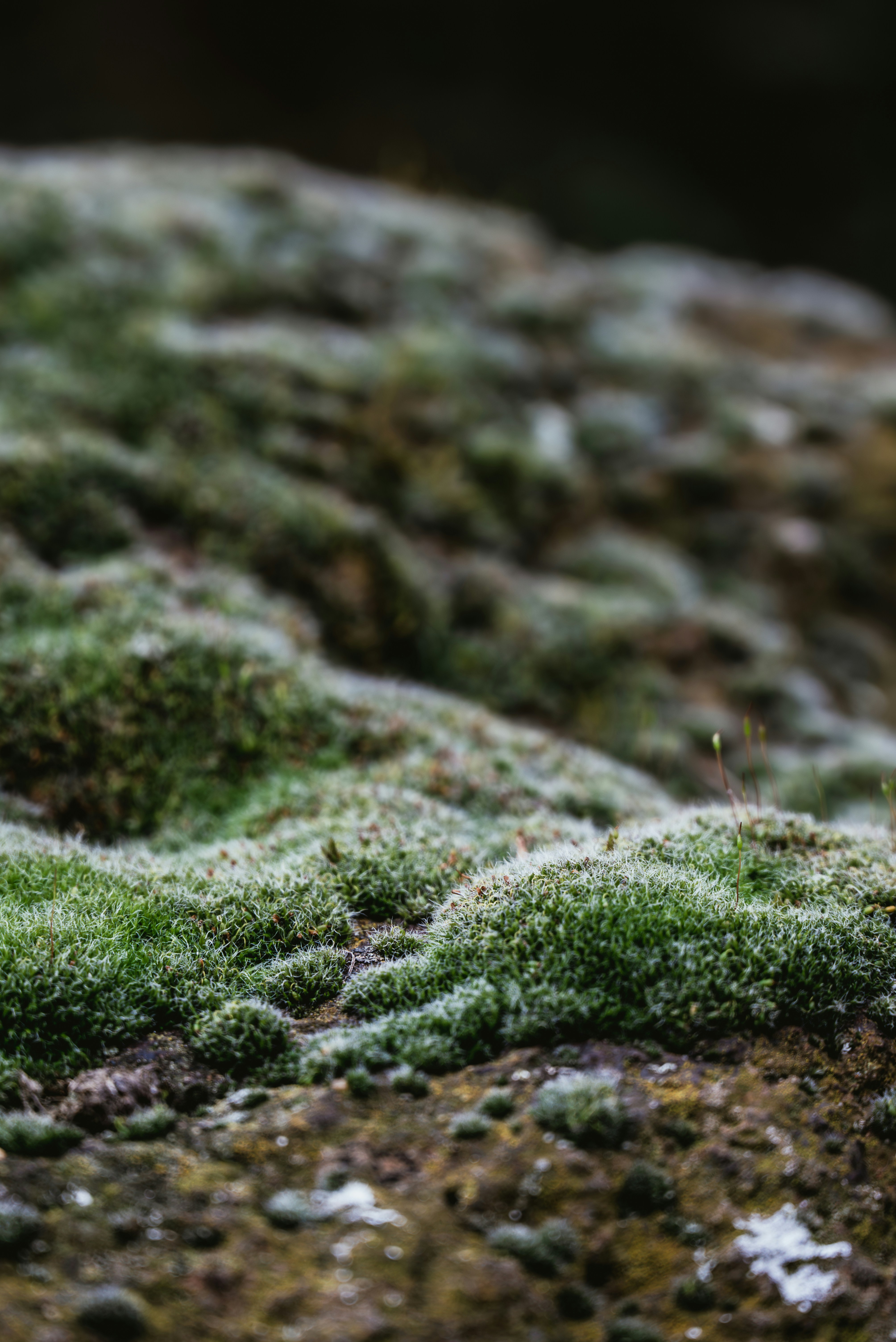 Photo by jetztabertempo