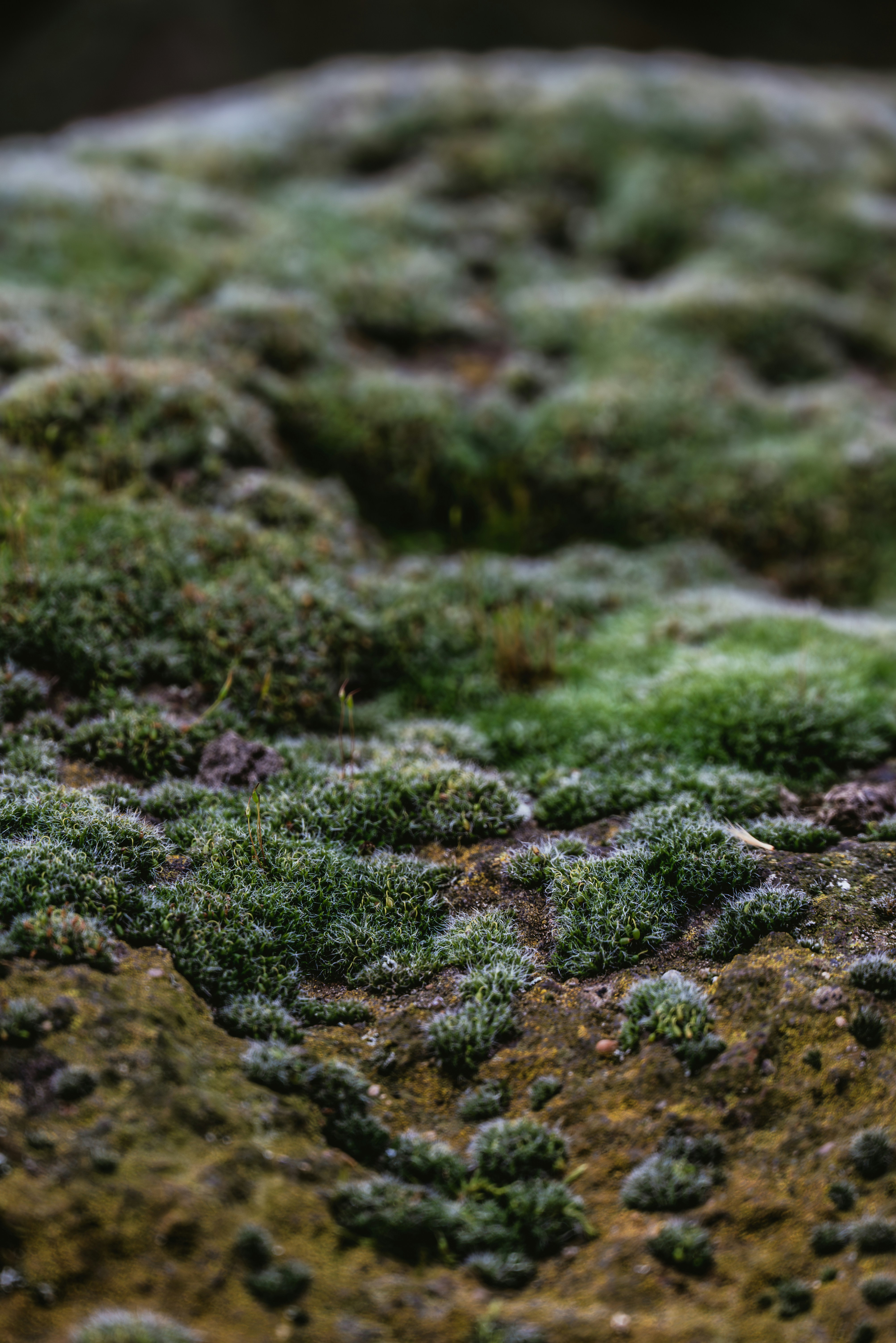 Photo by jetztabertempo