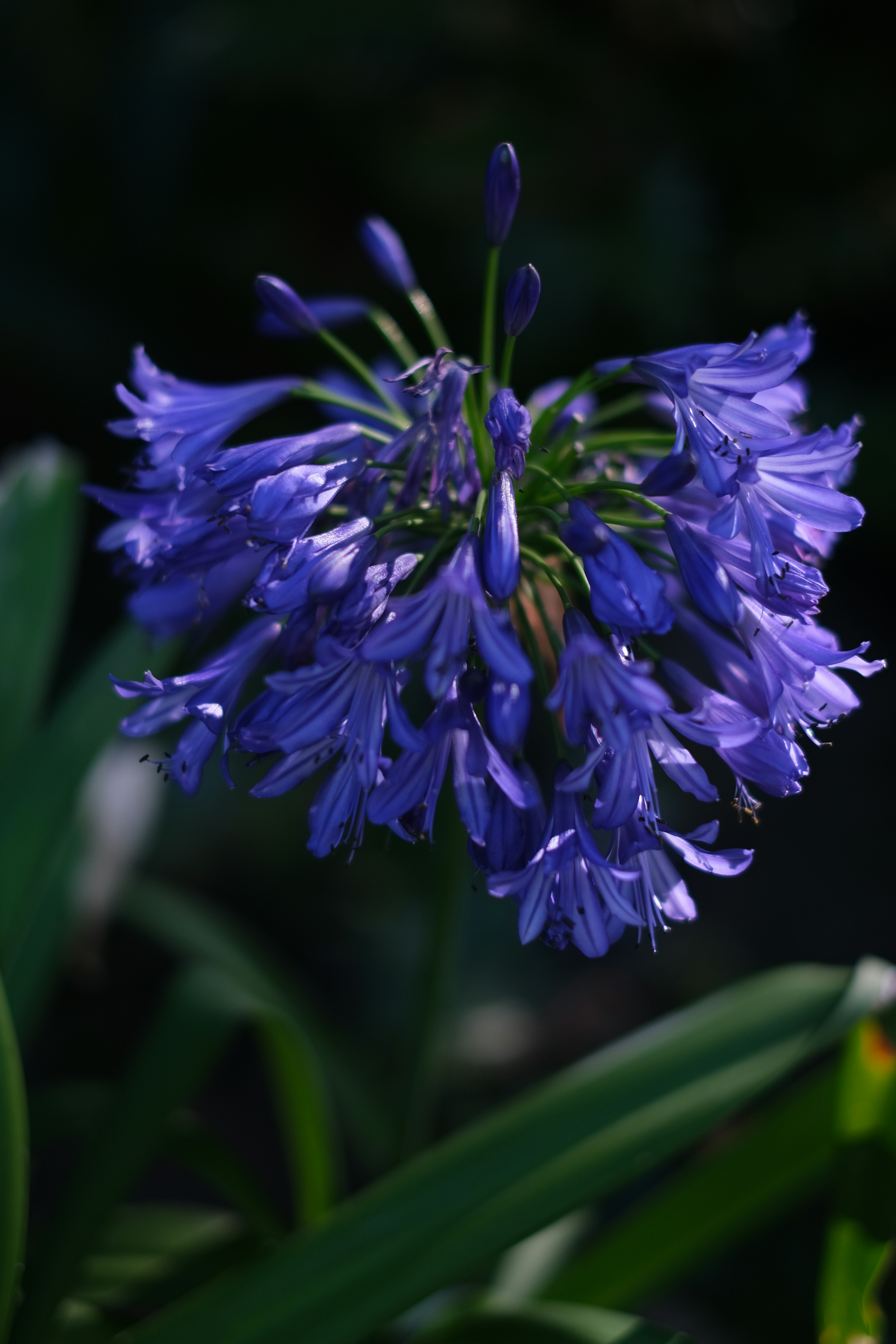 Photo by jonathantrans