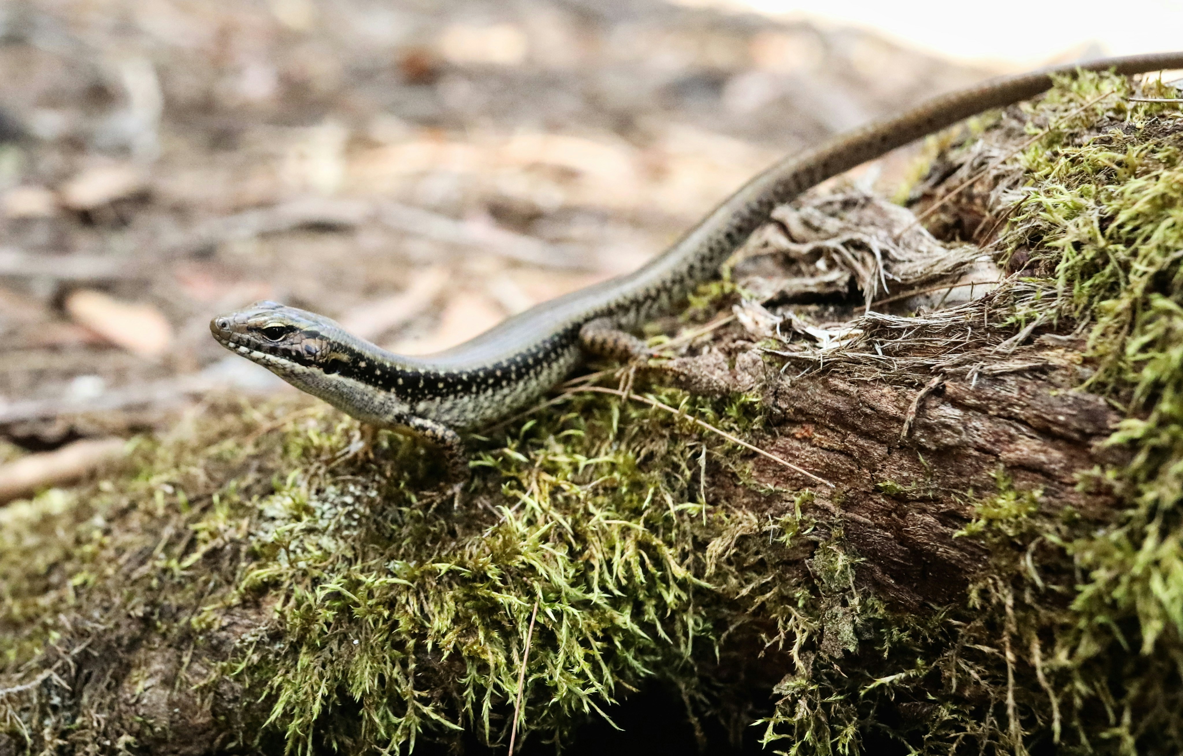 Photo by coco14short