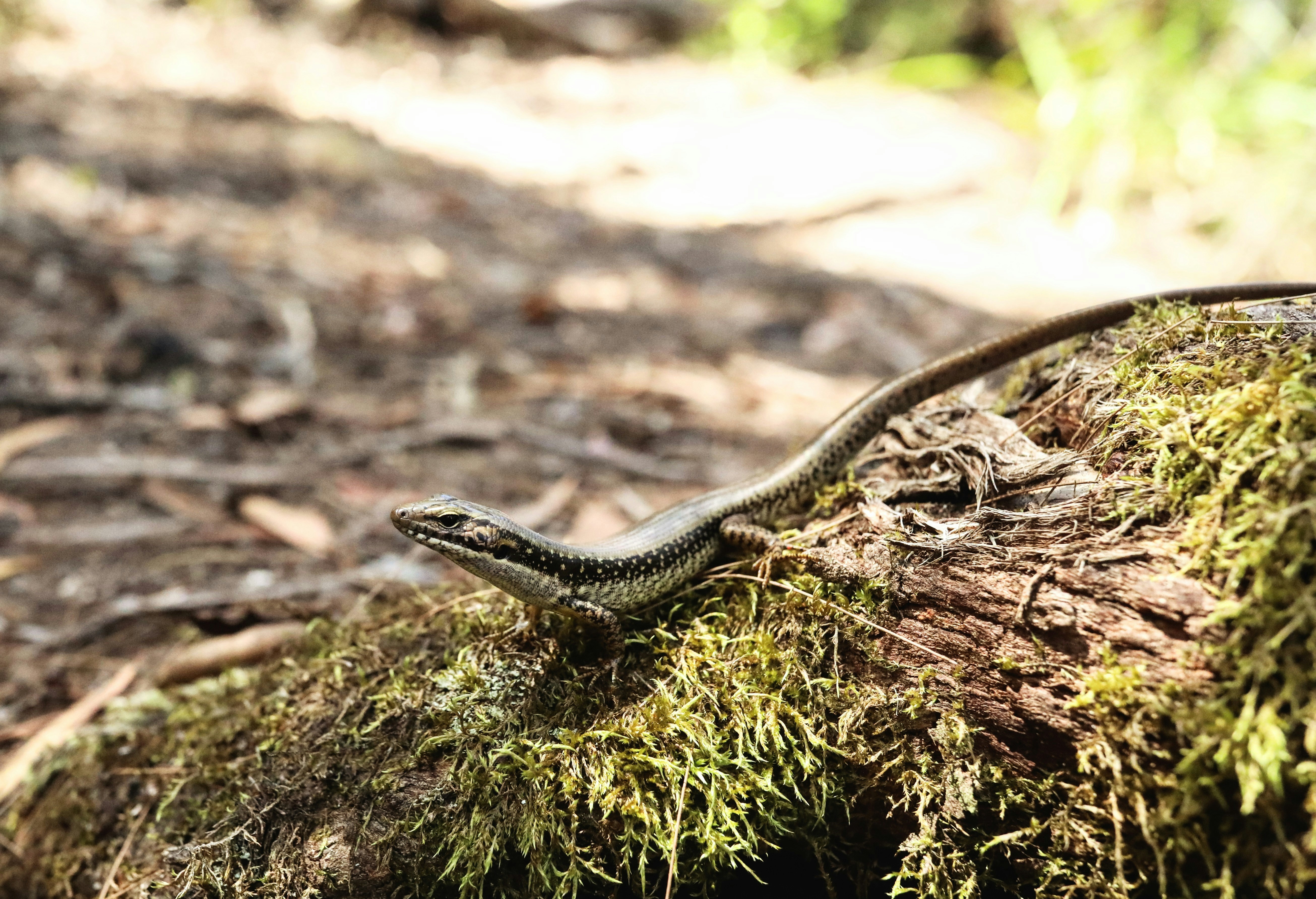 Photo by coco14short