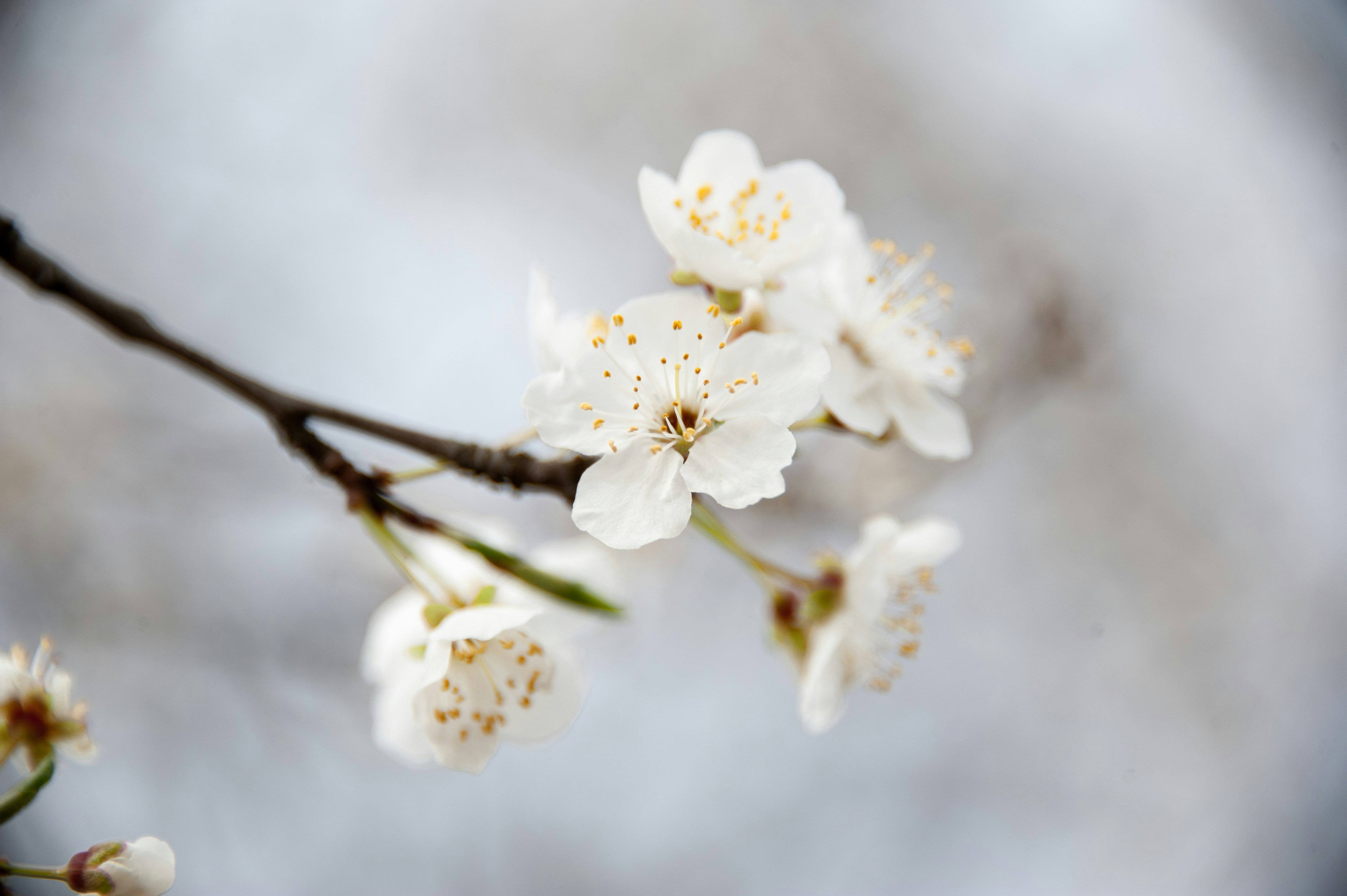 Photo by rrricharddd