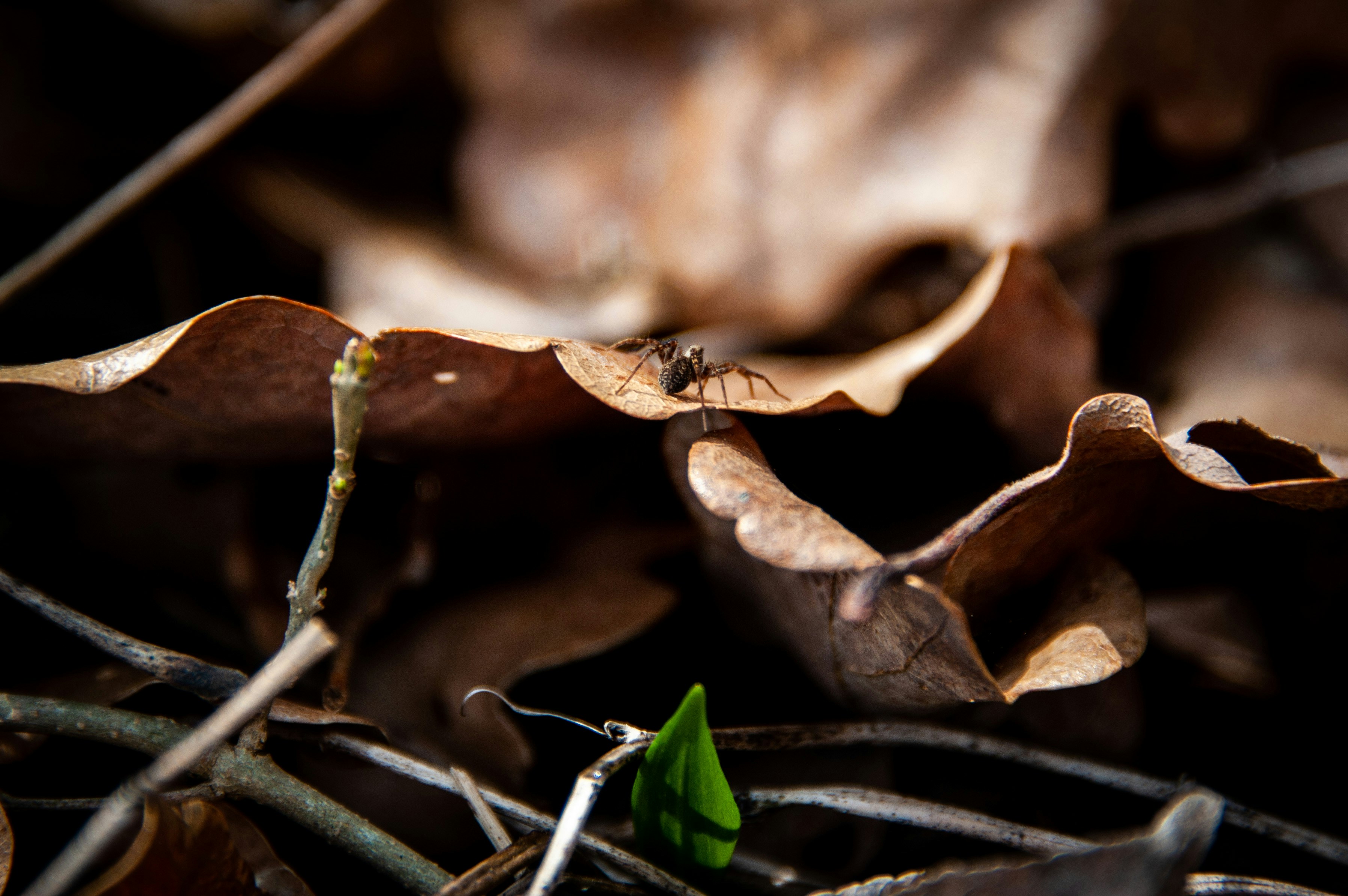 Photo by rrricharddd