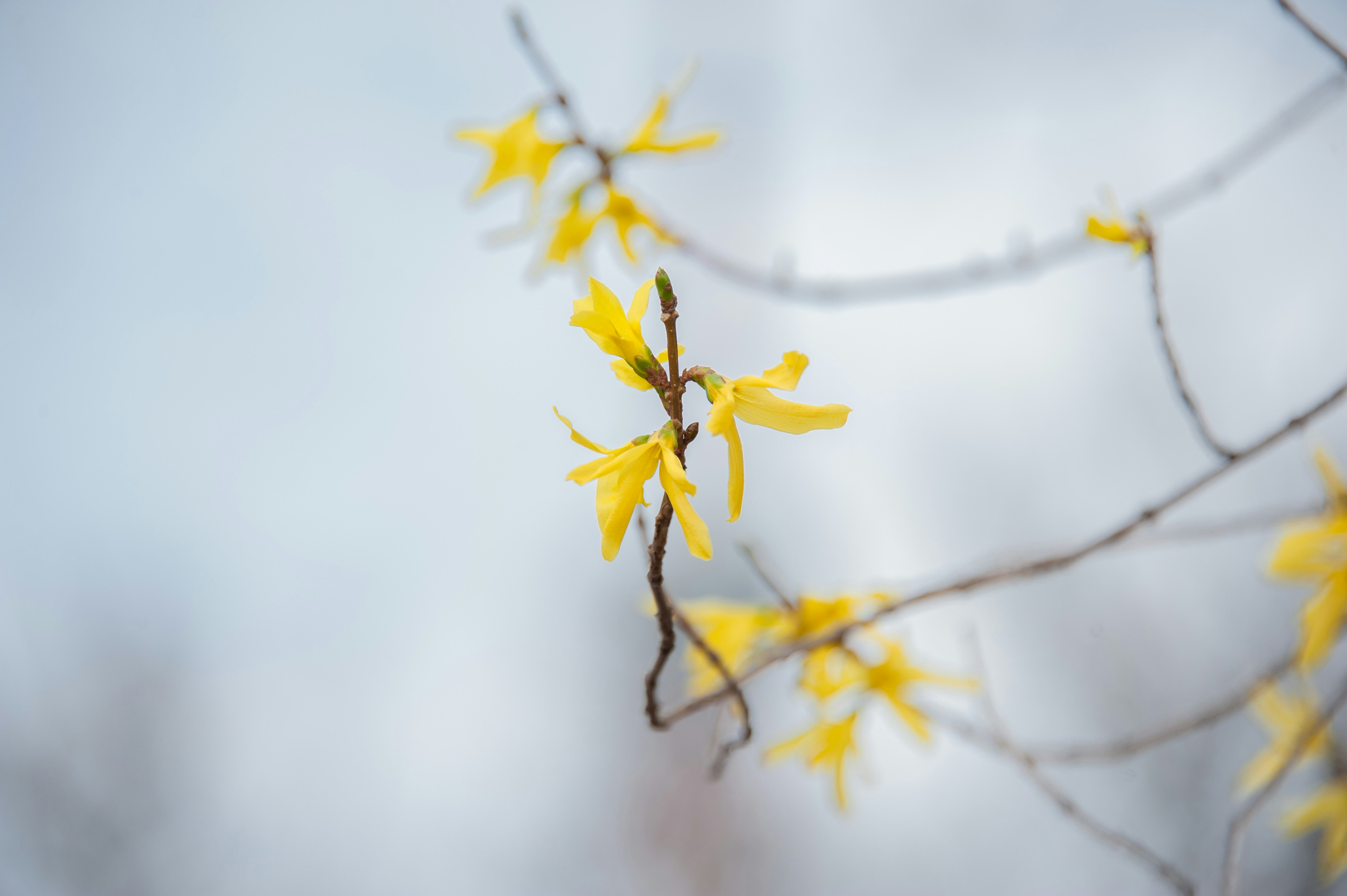 Photo by rrricharddd