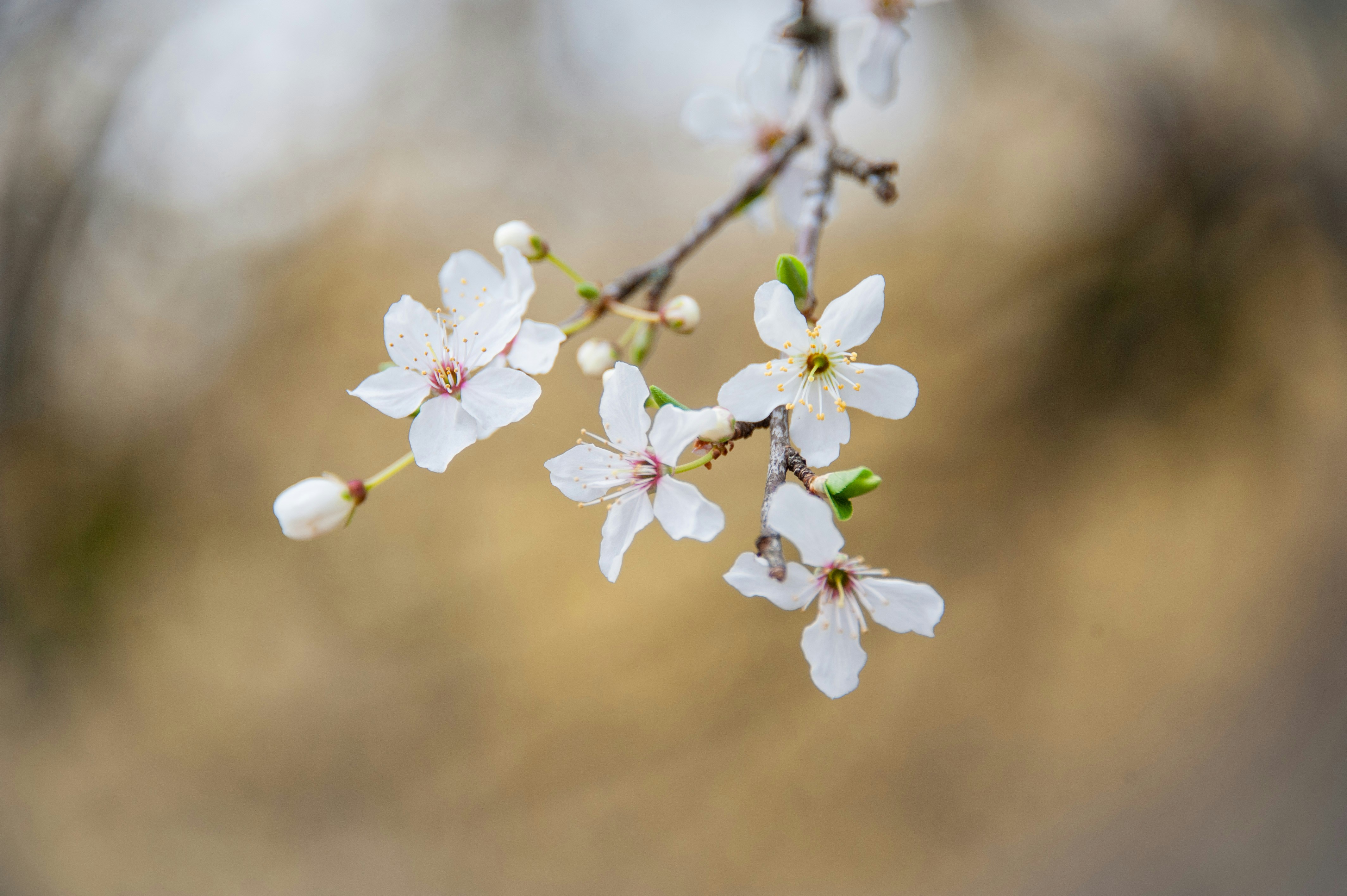 Photo by rrricharddd