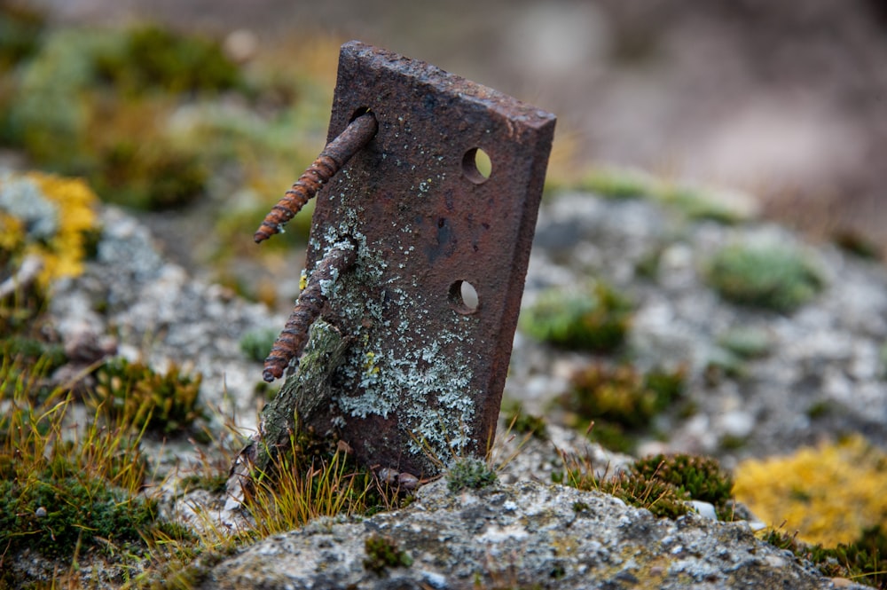 a rusty piece of metal sitting on top of a moss covered ground