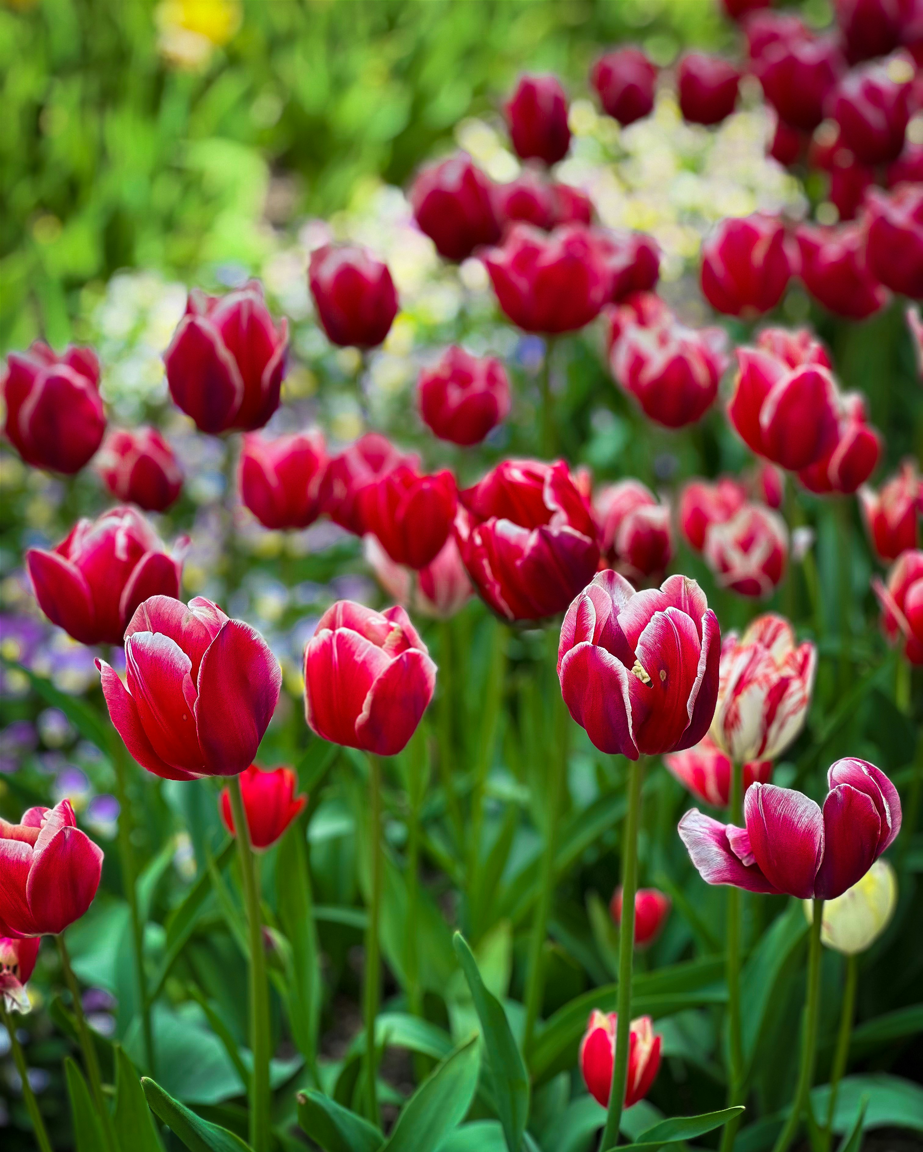 Photo by avignakaran