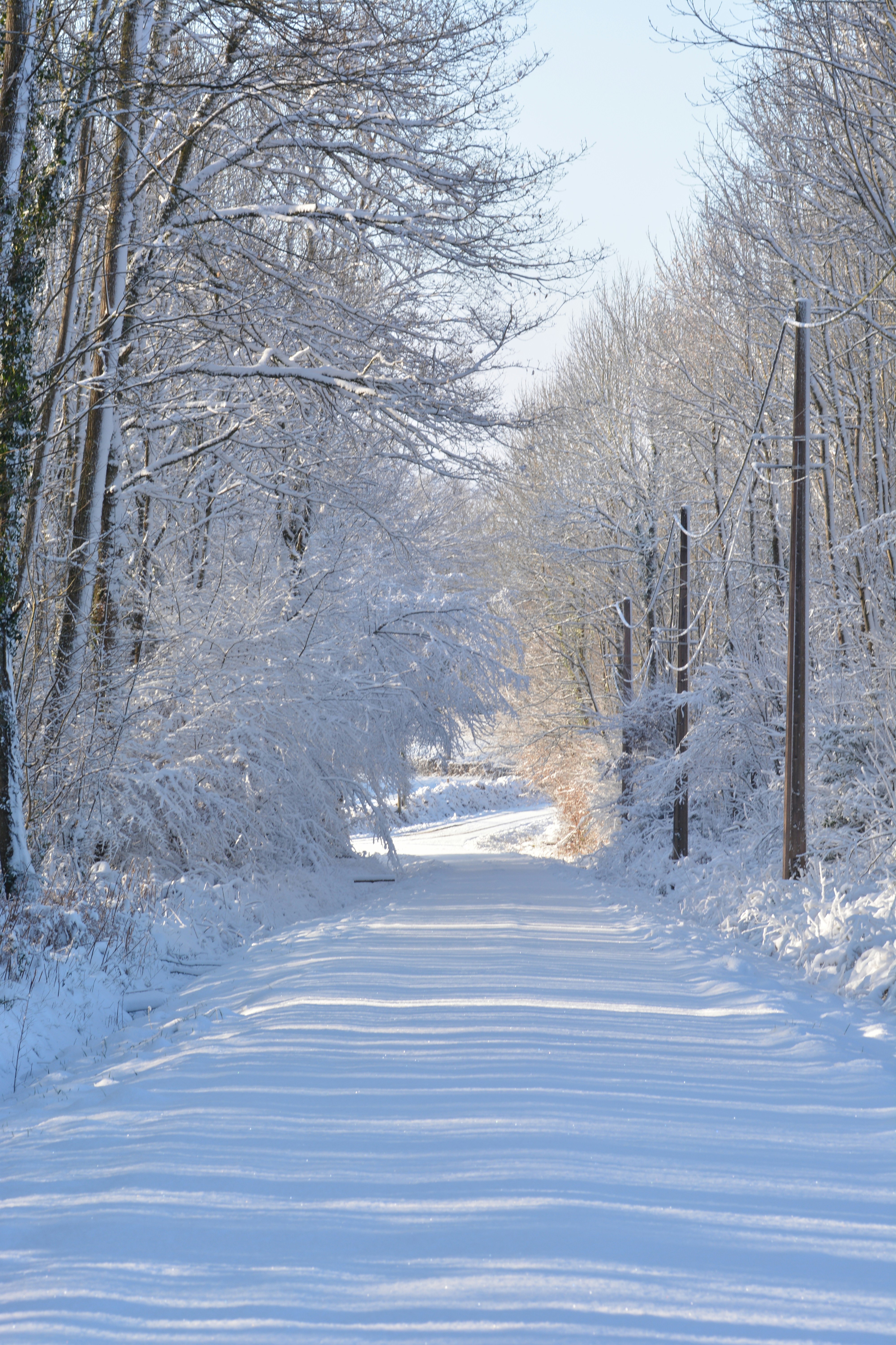 Photo by ashwinward18