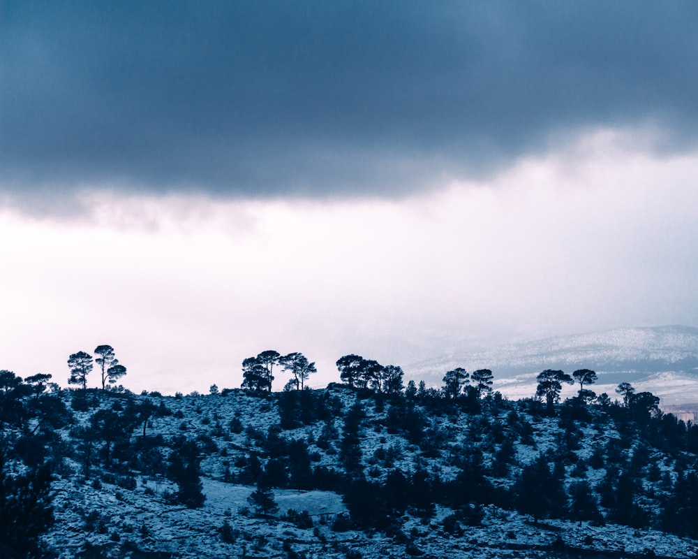 a cloudy sky over a snowy mountain with trees