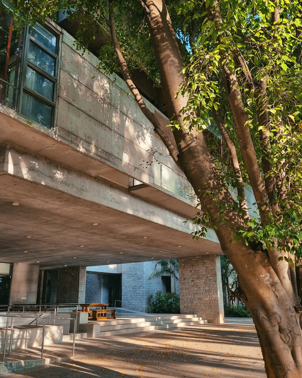 a building with a tree in front of it