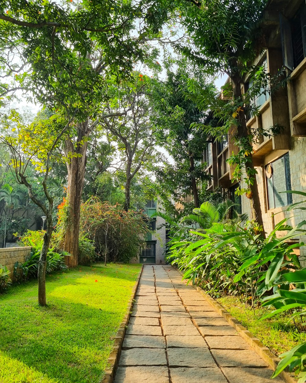 a walkway in the middle of a lush green yard