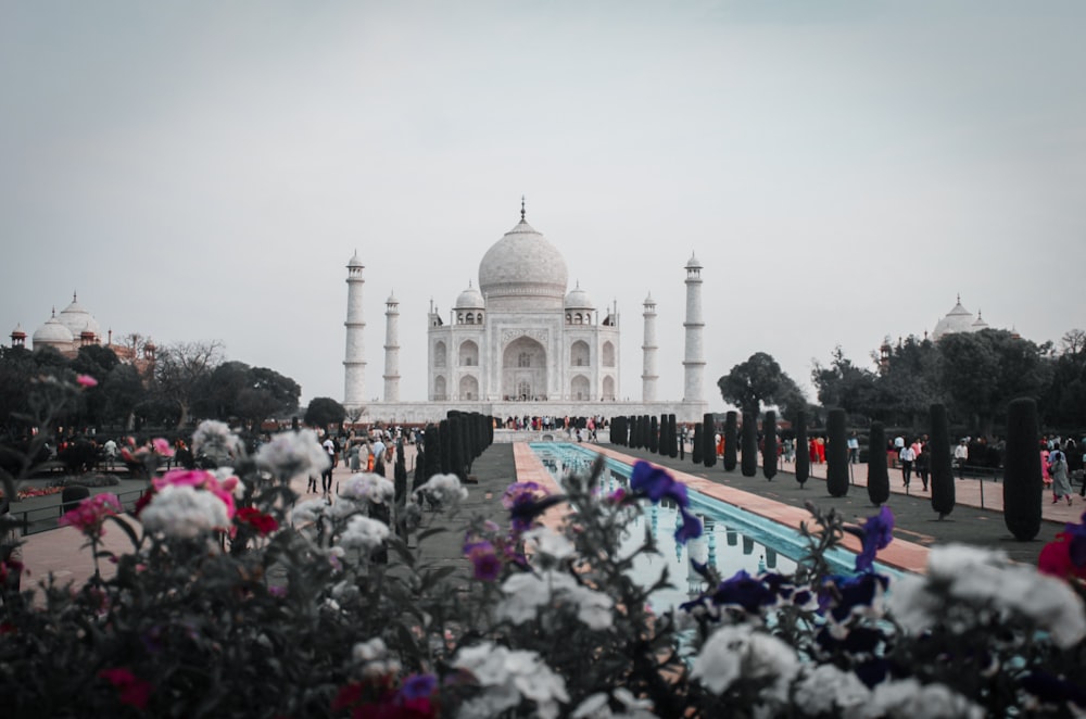 a view of the tajwa in the foggy day