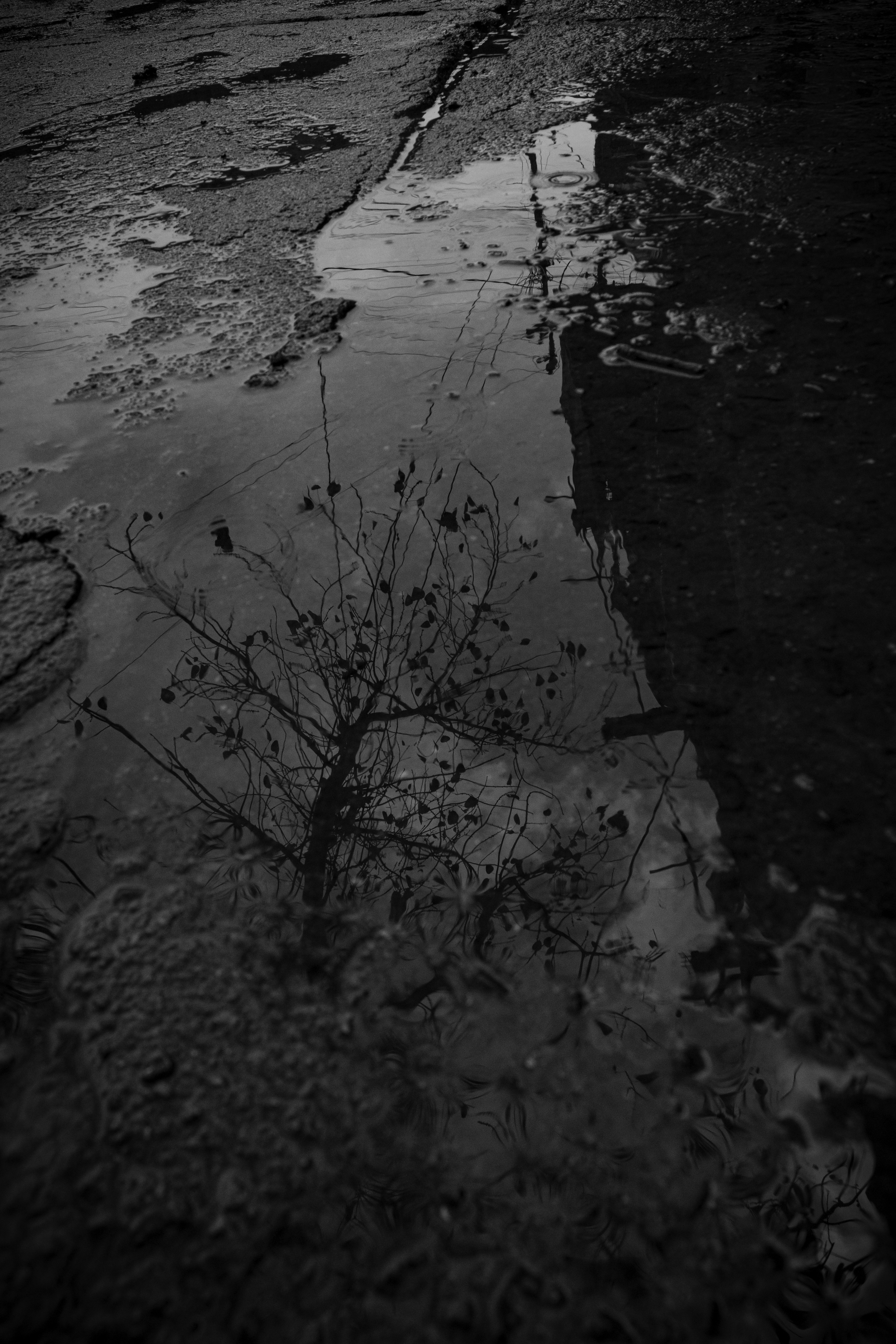 Photo by ____aka_dev0