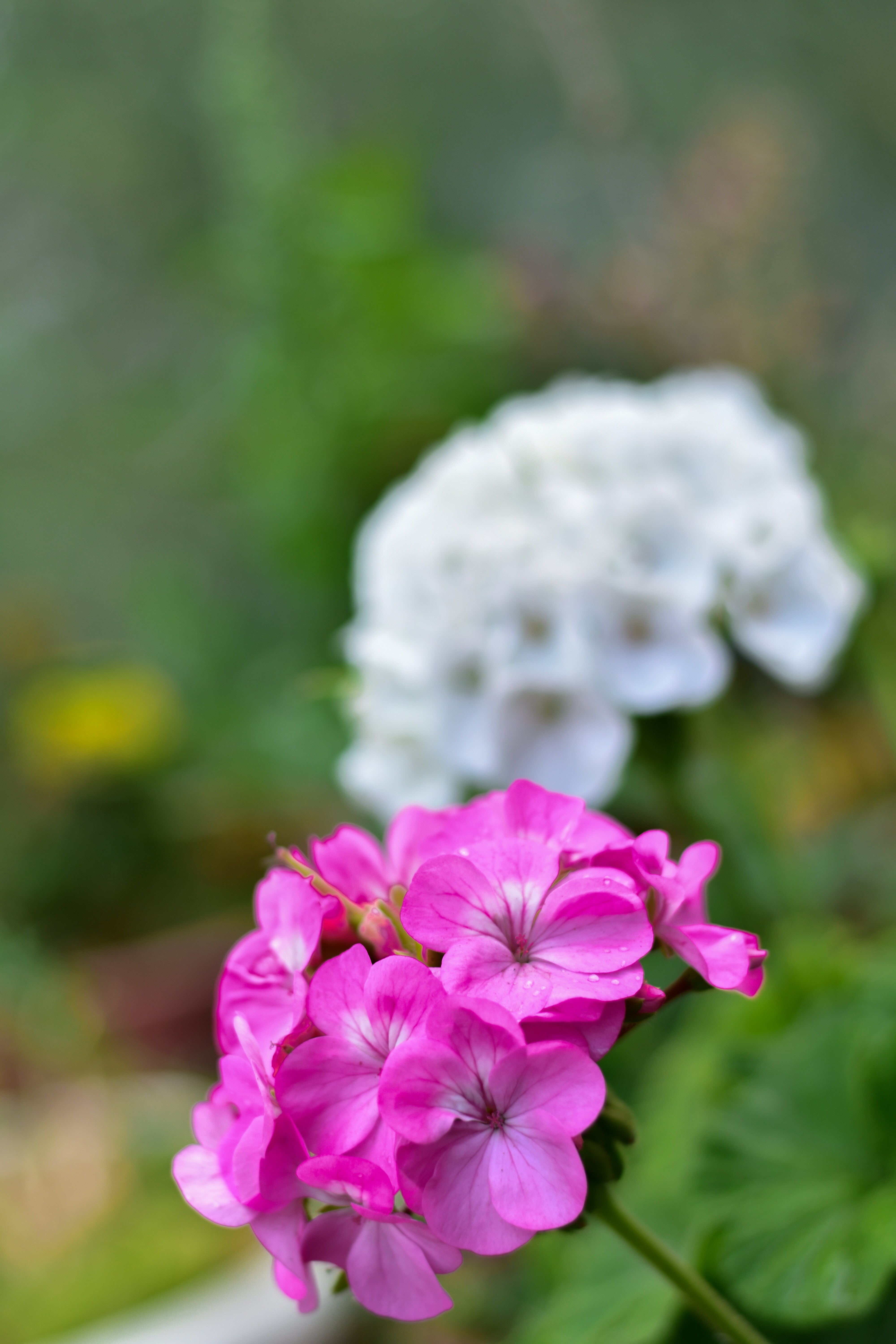 Photo by neelakshi_singh_