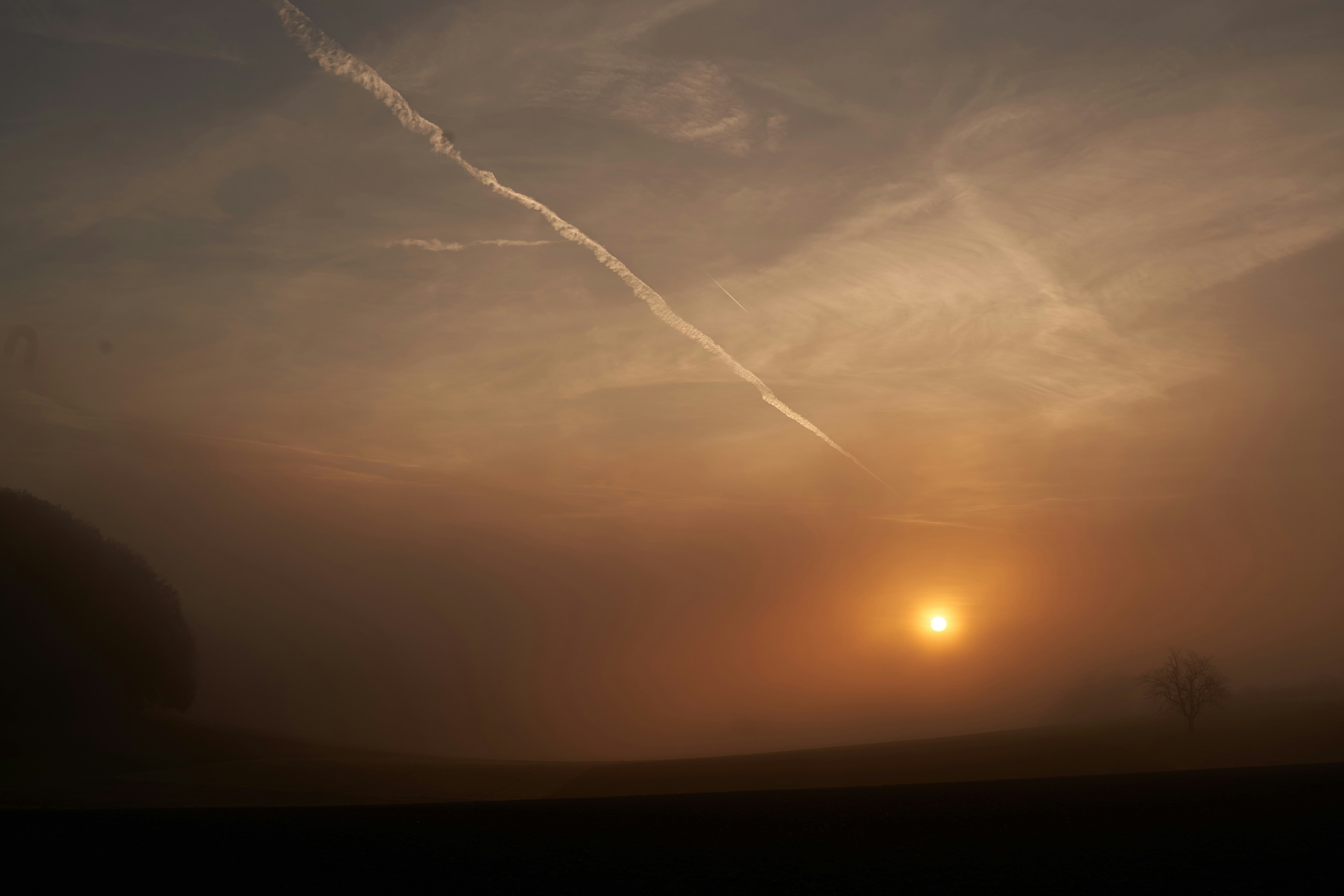 Photo by wolfgang_hasselmann