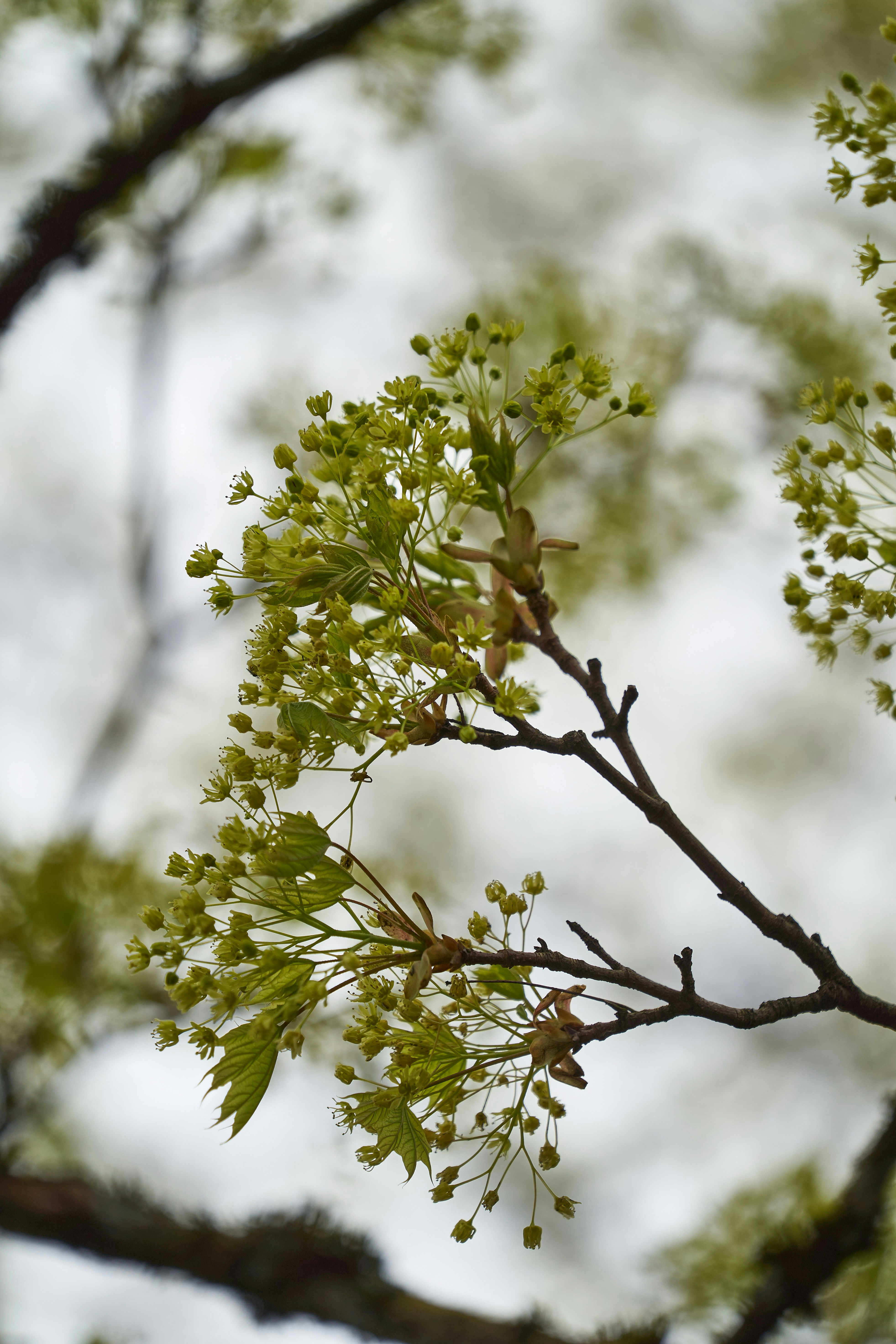 Photo by wolfgang_hasselmann