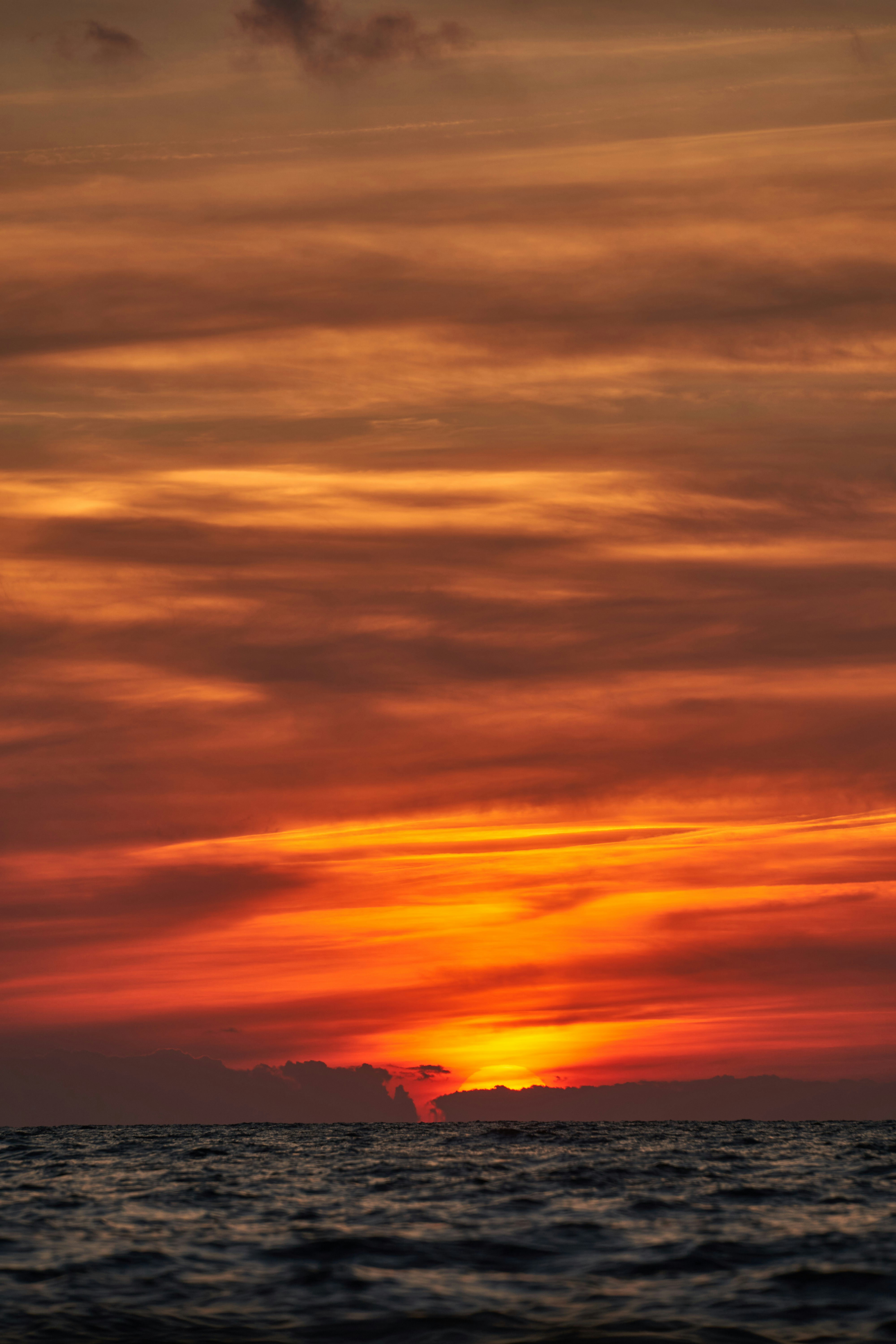 Photo by wolfgang_hasselmann