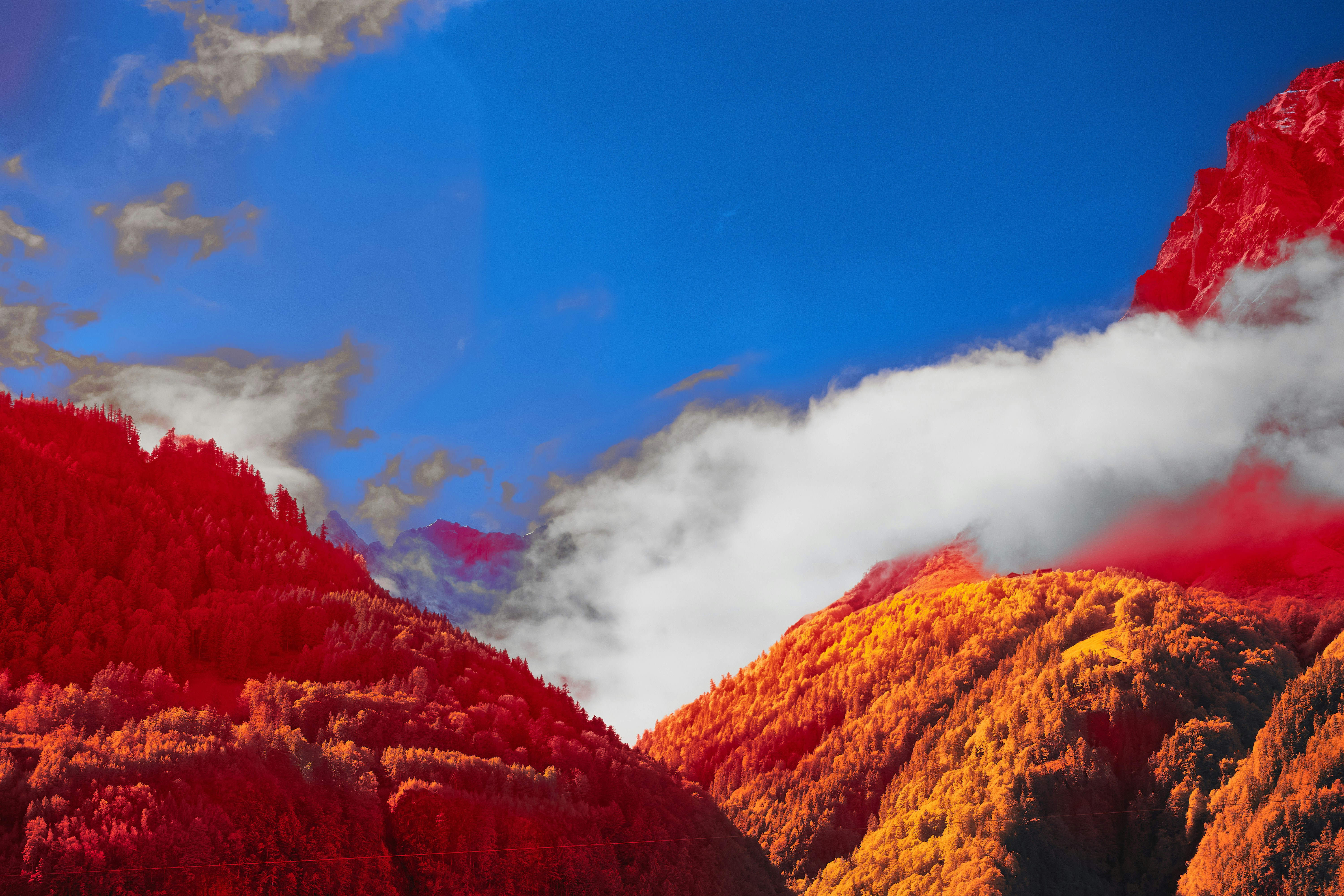 Photo by wolfgang_hasselmann