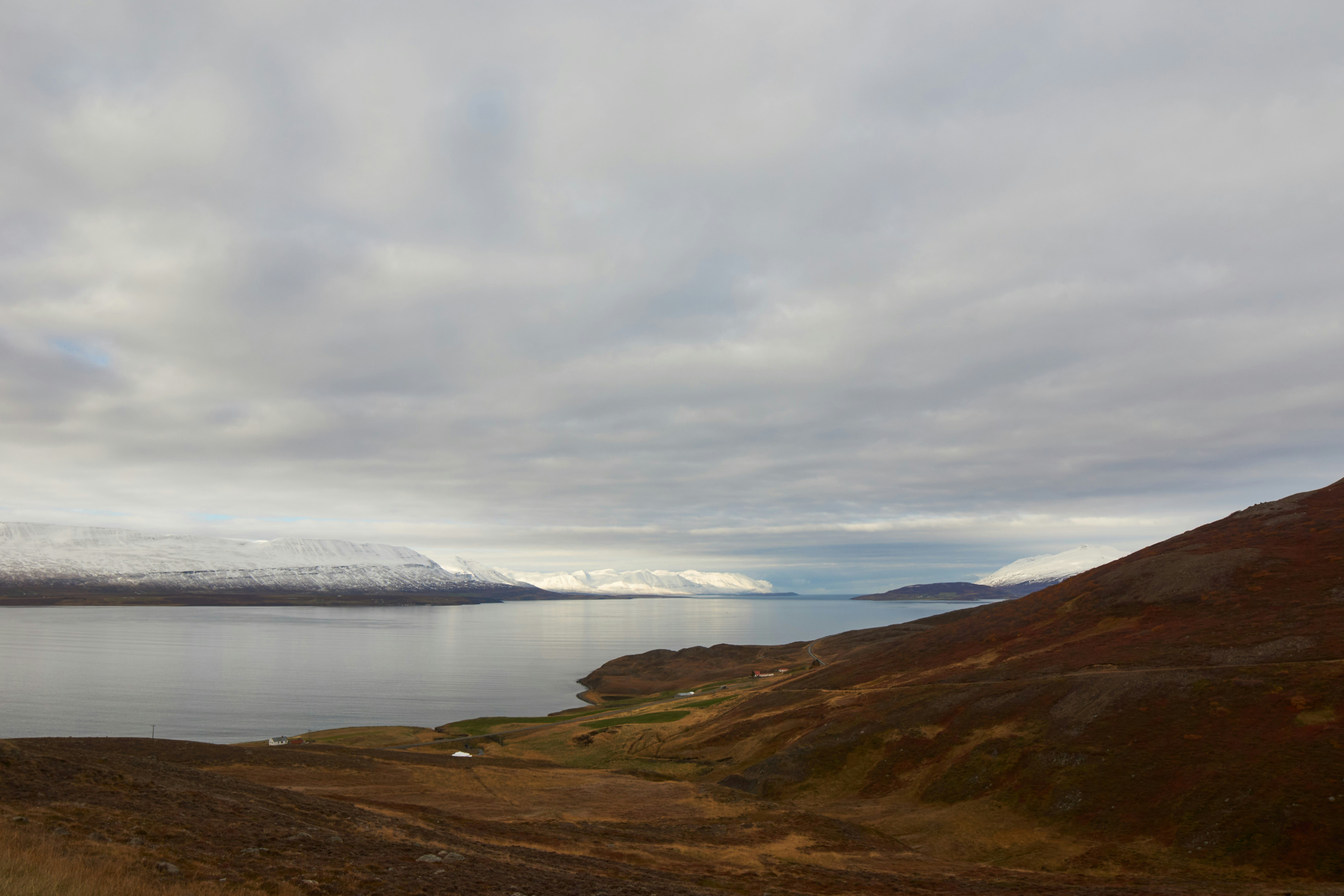 Photo by wolfgang_hasselmann