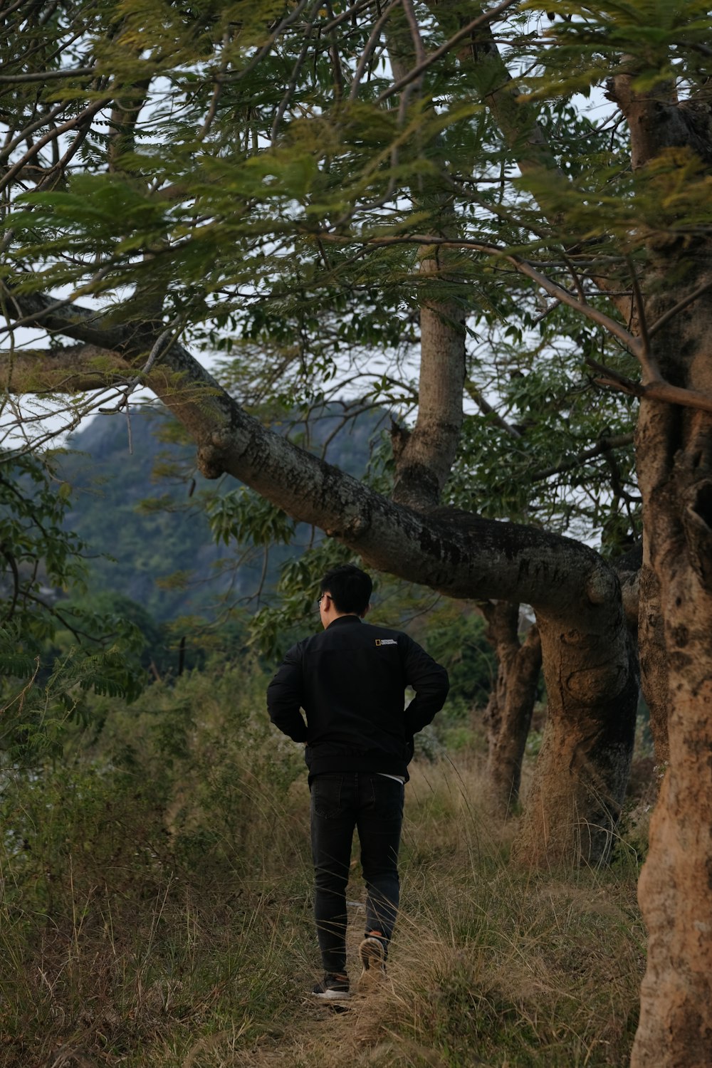 a man in a black jacket is walking in the woods