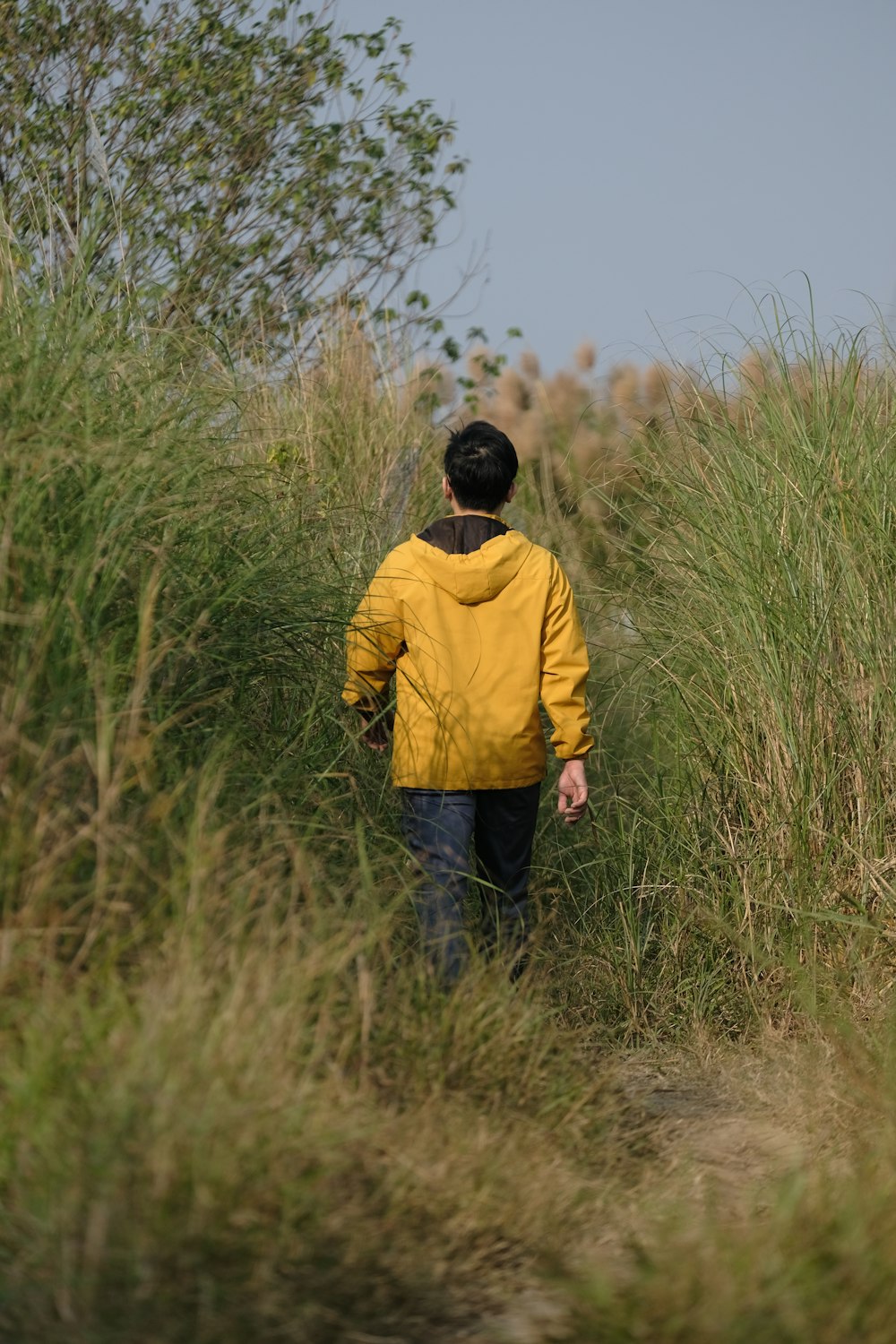 a man in a yellow jacket walking through tall grass