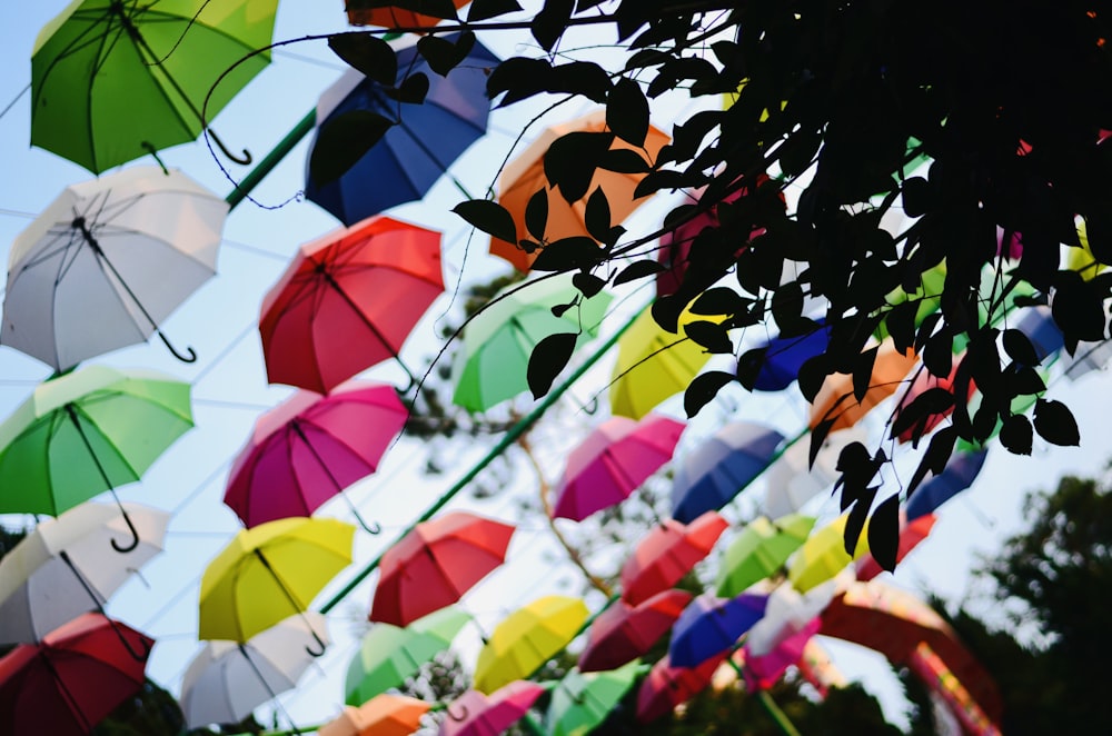 a bunch of colorful umbrellas hanging from a tree