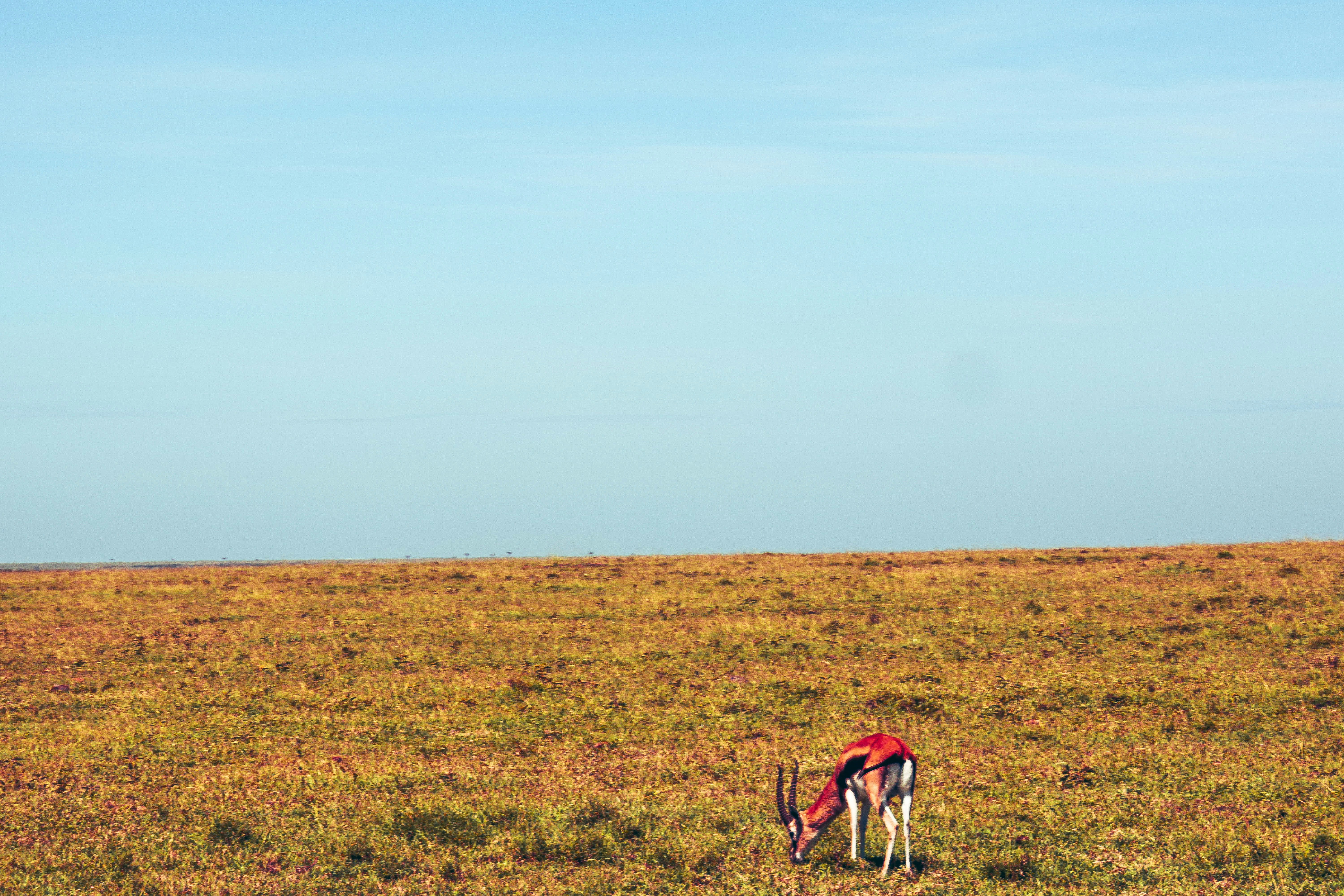 Photo by traveleroohlala