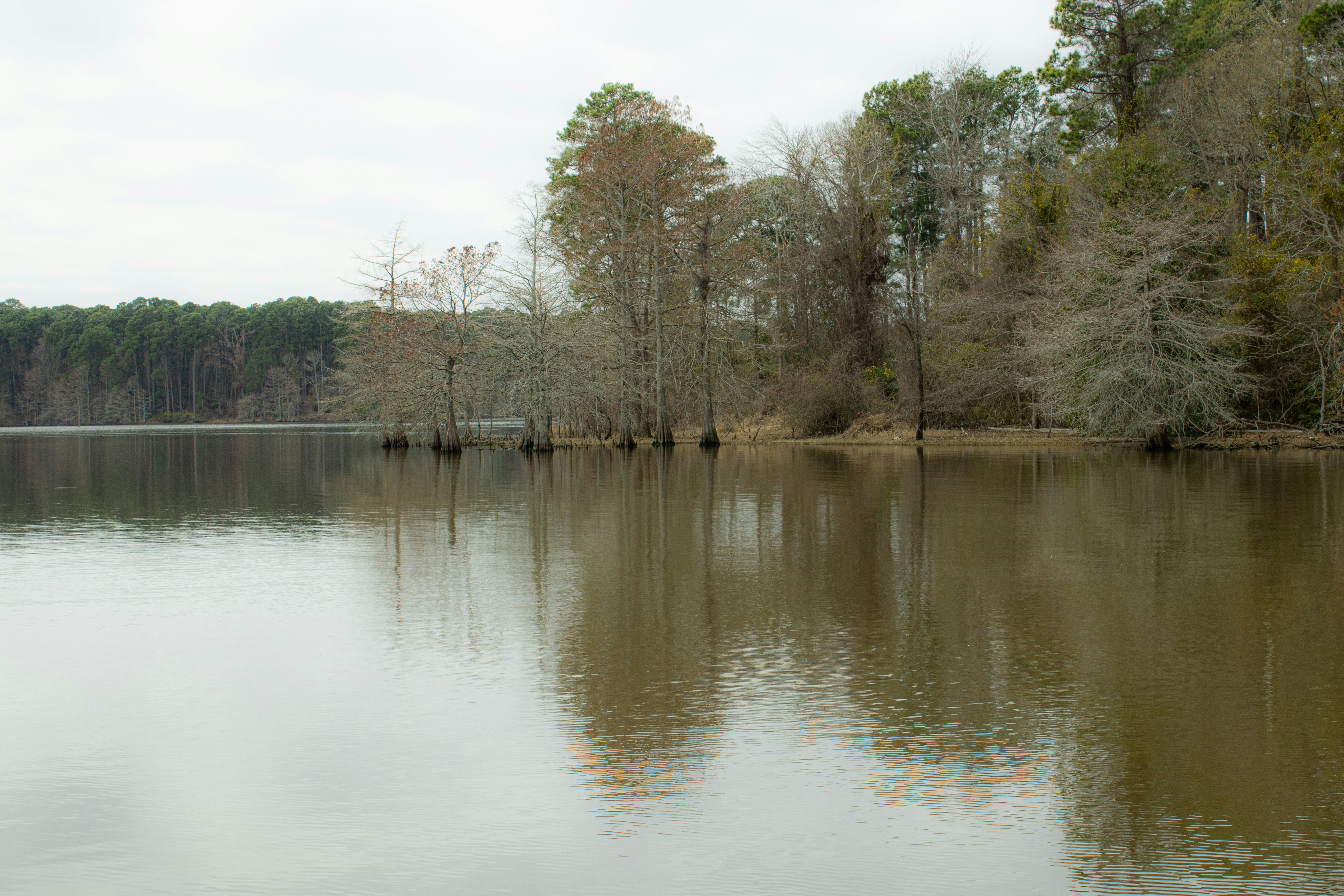 Photo by ronaldacrow