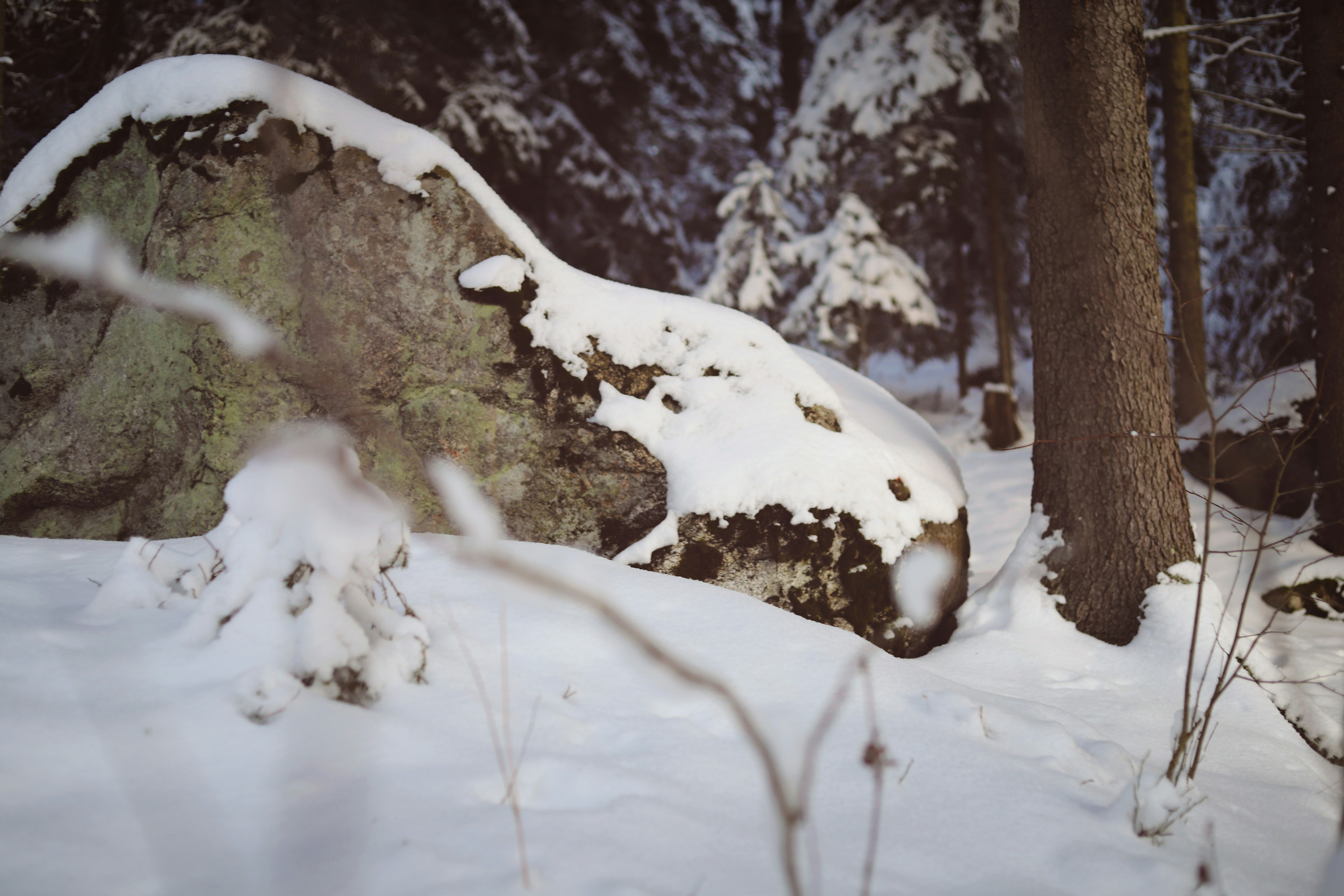 Photo by white_on_white