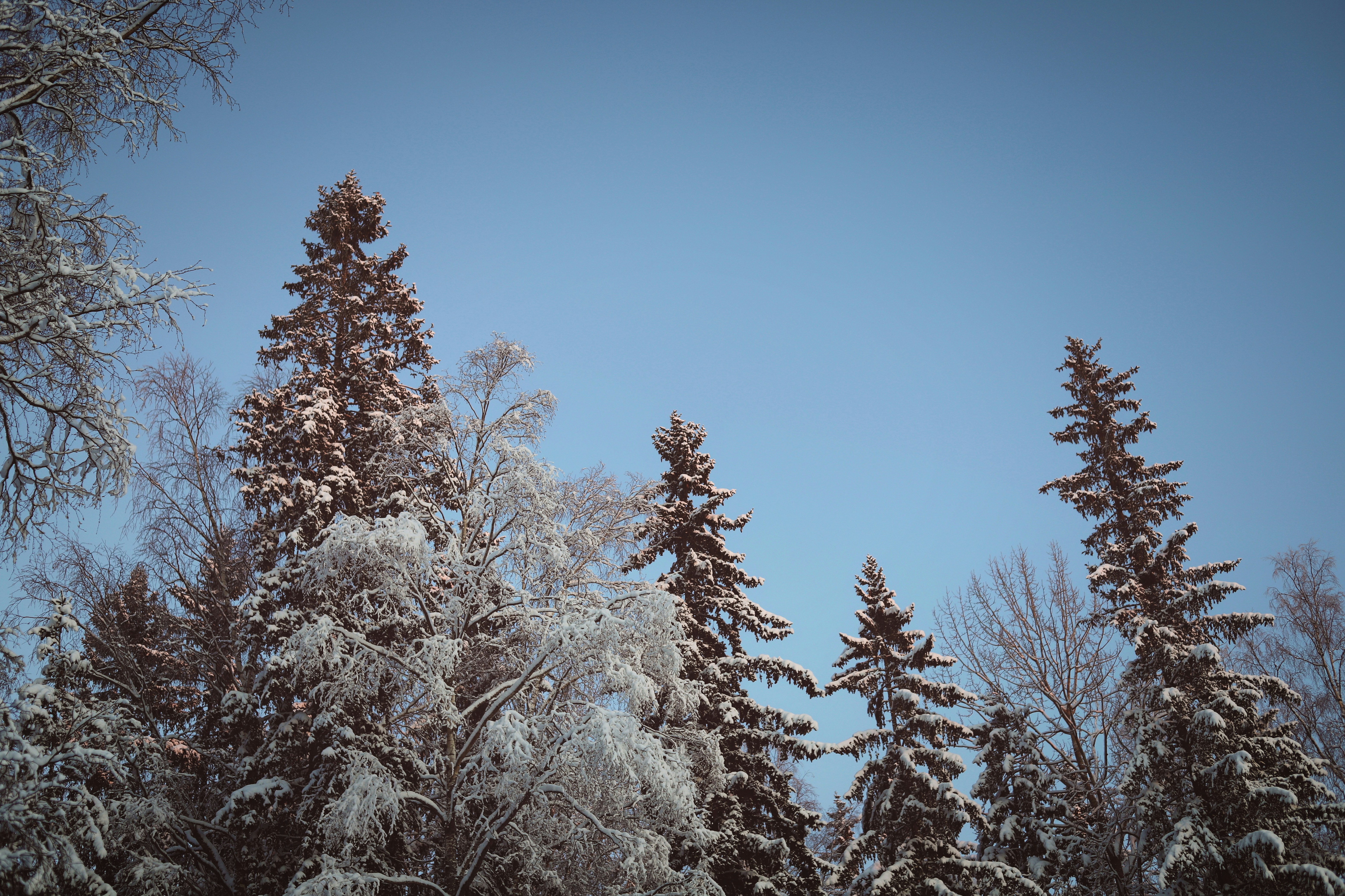 Photo by white_on_white