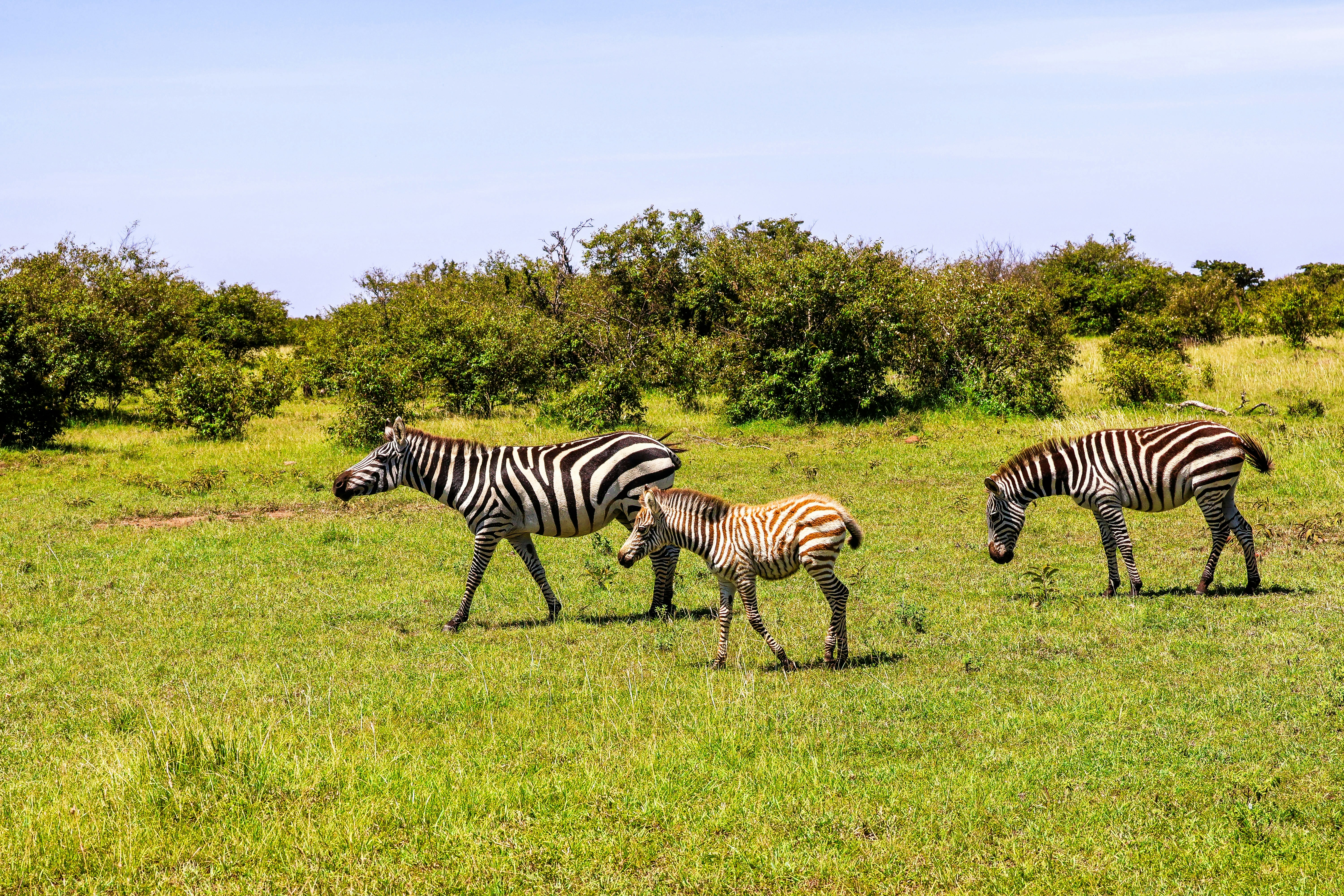 Photo by traveleroohlala