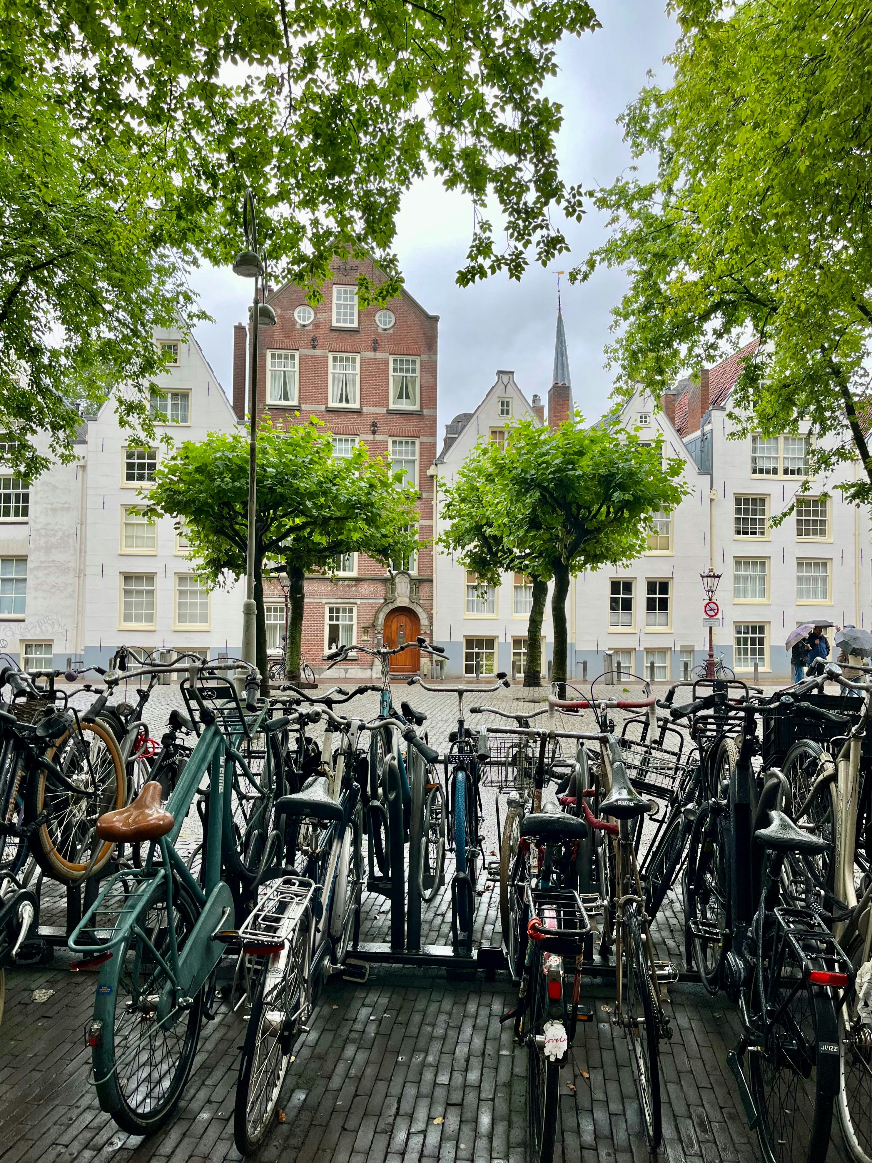 Photo by ezgideliklitas