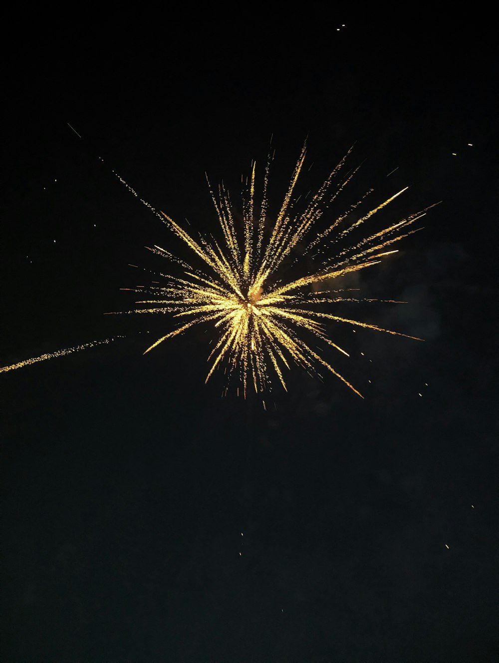Ein Feuerwerk wird am Nachthimmel angezündet