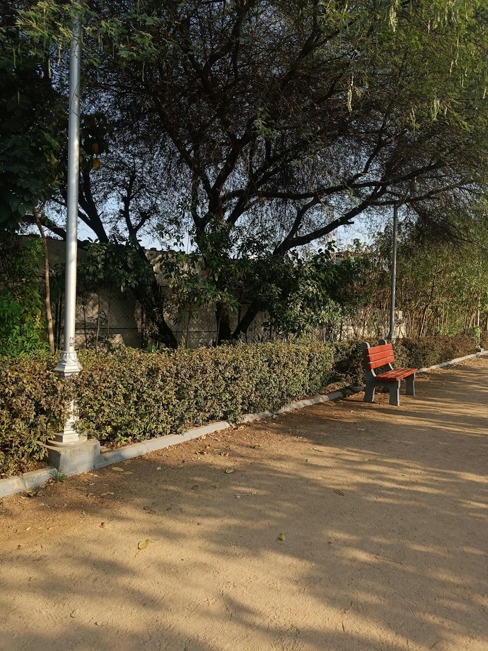 una hilera de bancos sentados junto a un exuberante parque verde