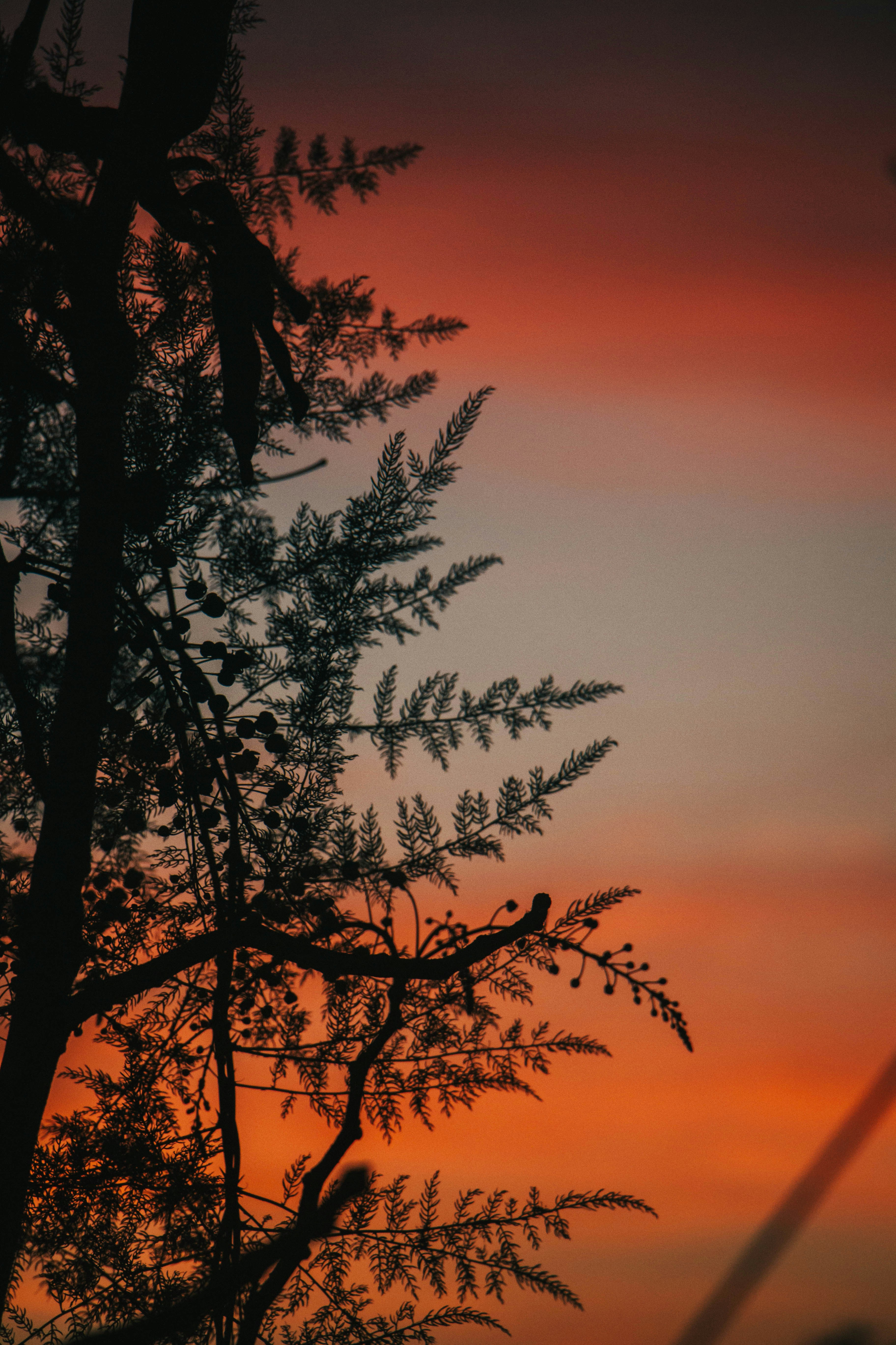 Photo by rishabh_mathew