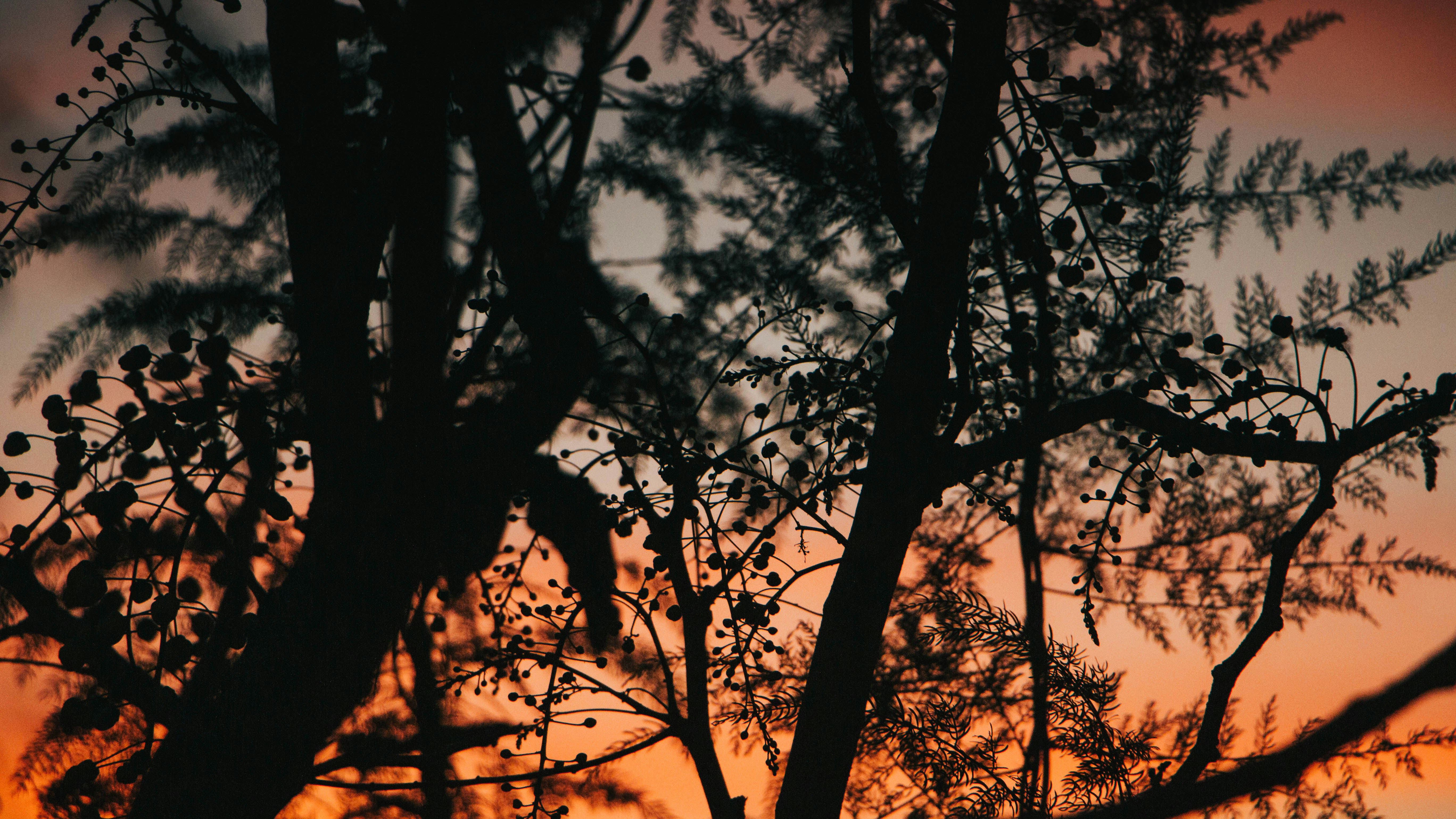 Photo by rishabh_mathew