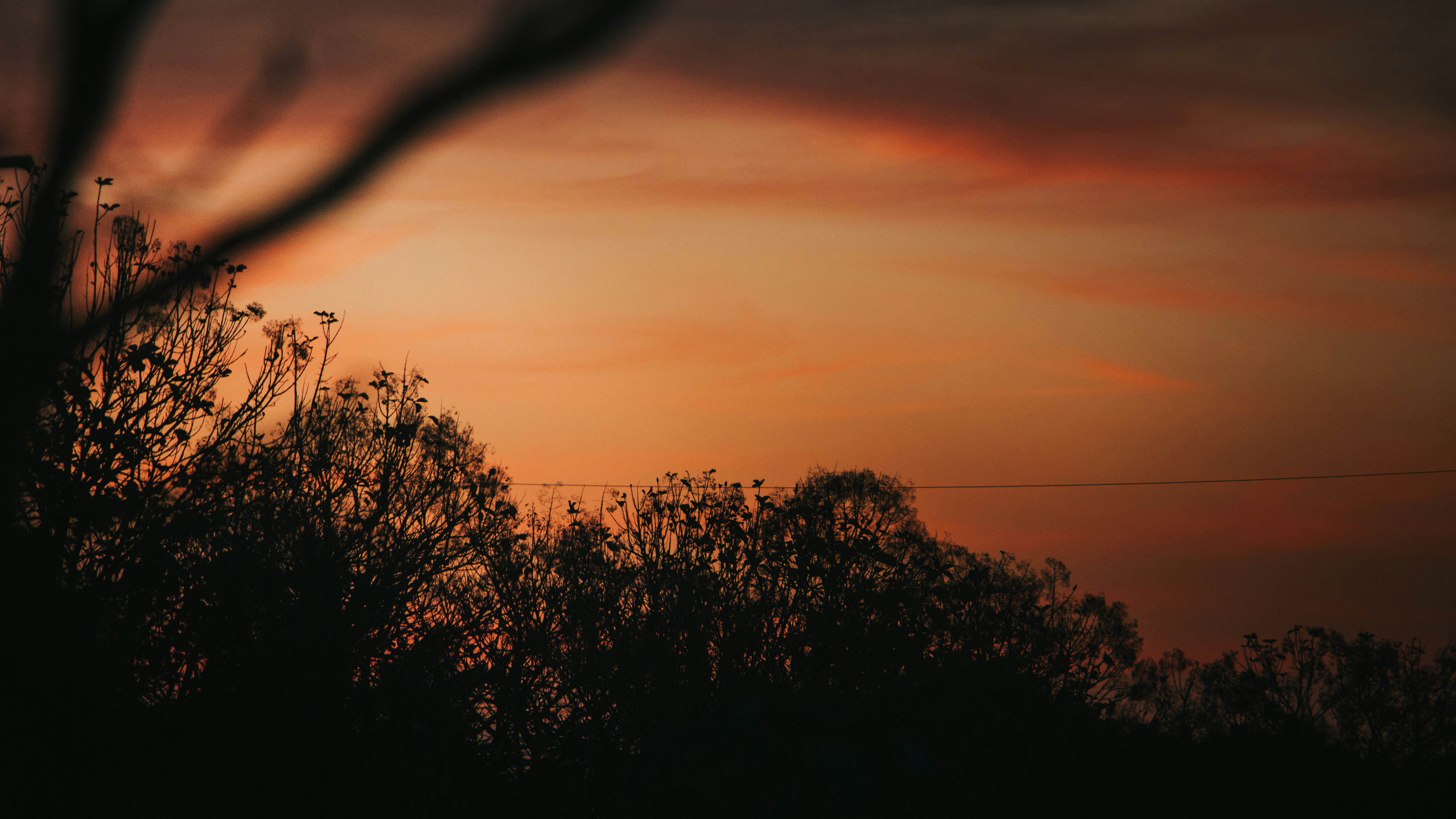 Photo by rishabh_mathew