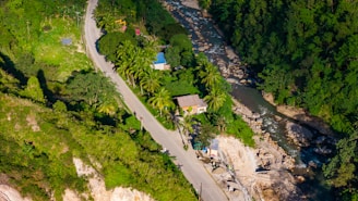 an aerial view of a river running through a lush green forest