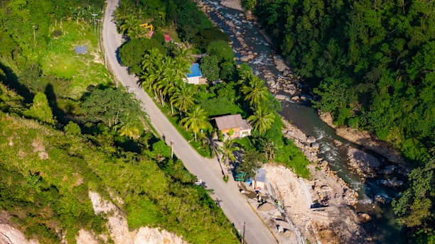 an aerial view of a river running through a lush green forest