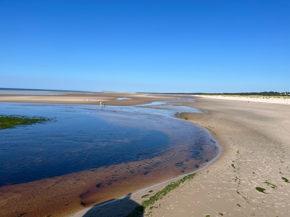 a body of water sitting on top of a sandy beach