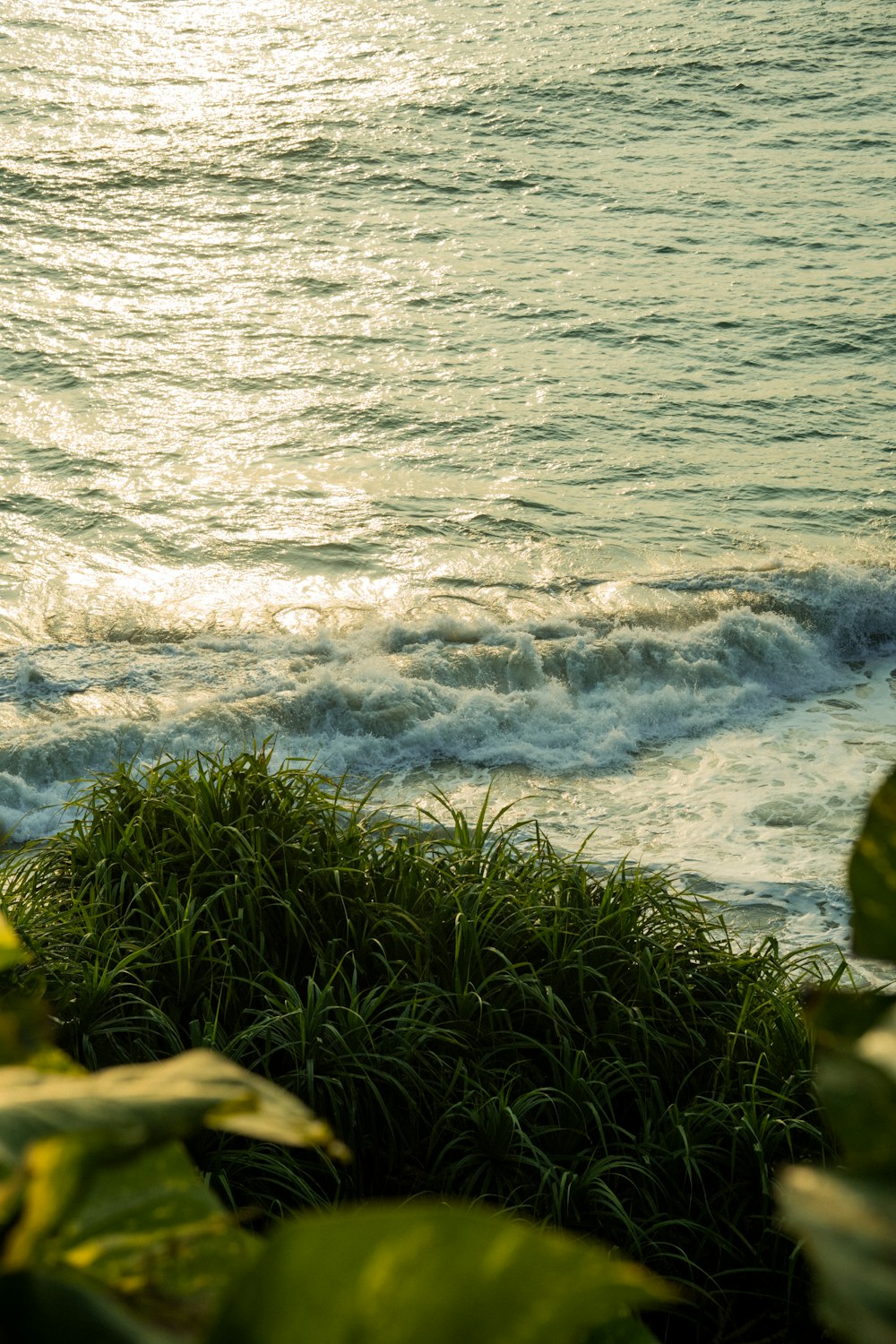 a view of a body of water from a hill