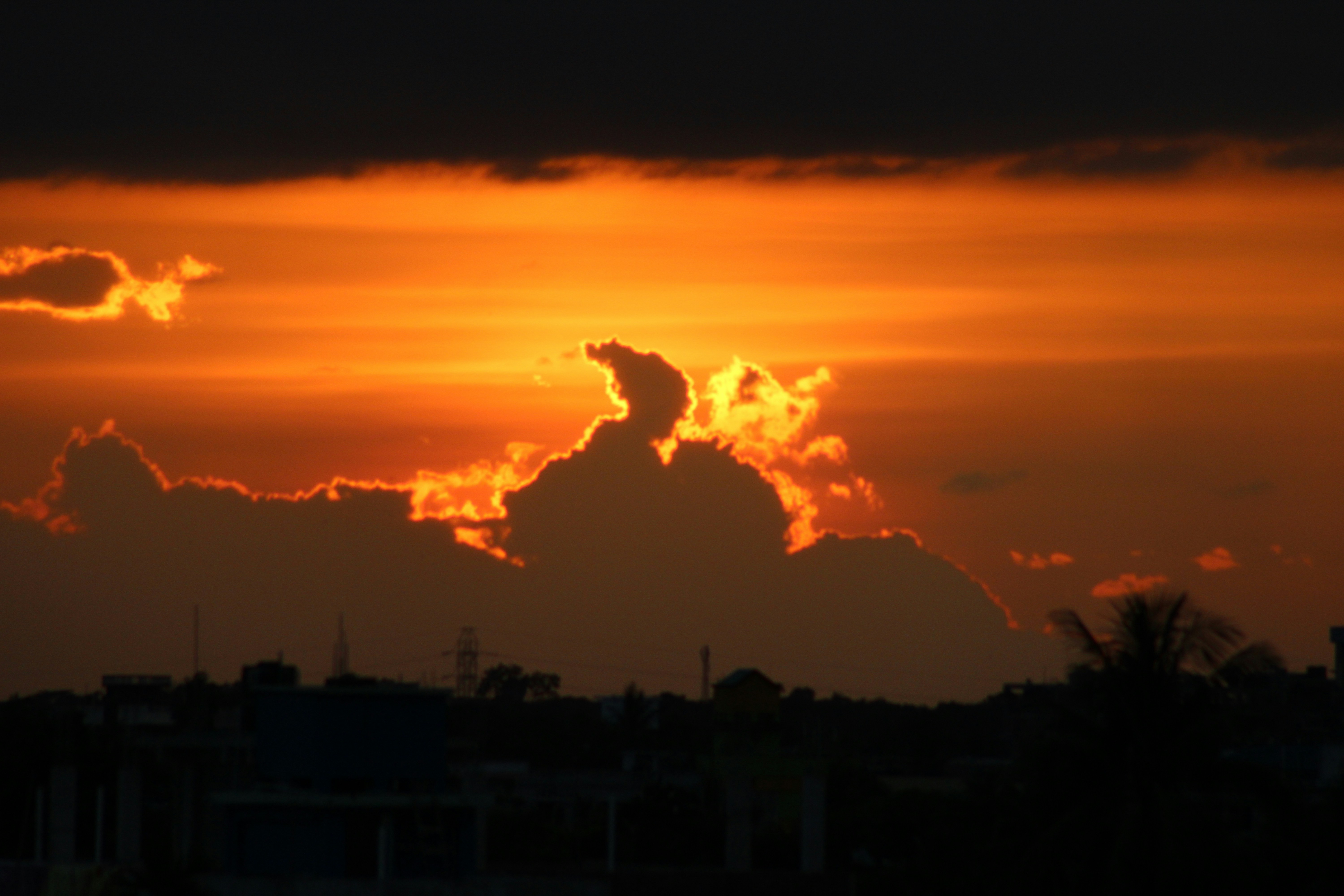 A silhouette of Forrest Gump running against a sunset.